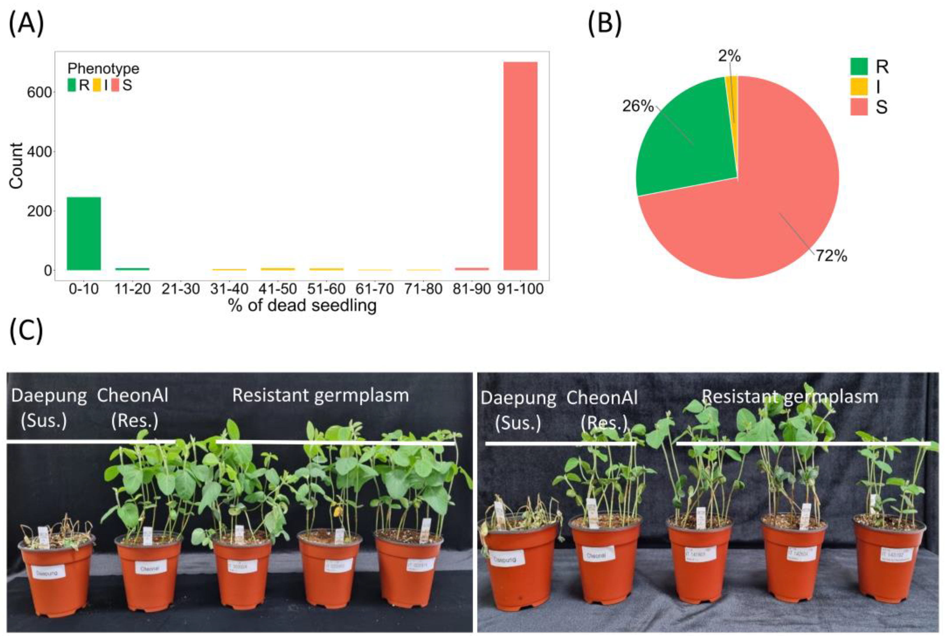 Plants 13 03501 g002