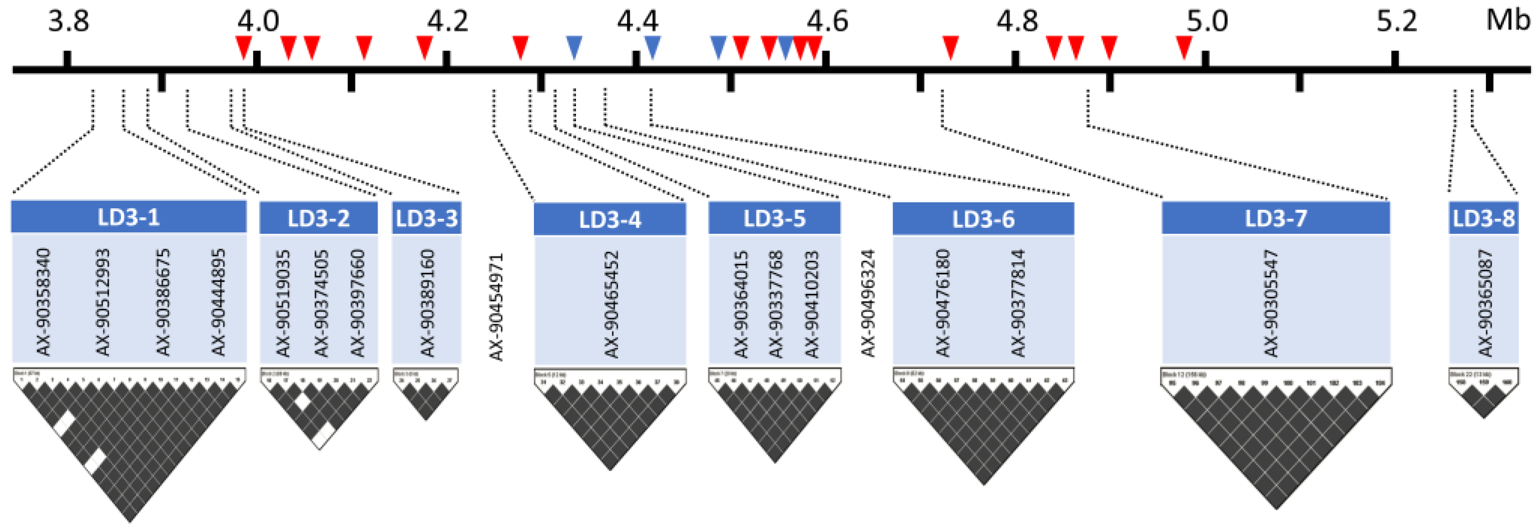 Plants 13 03501 g004