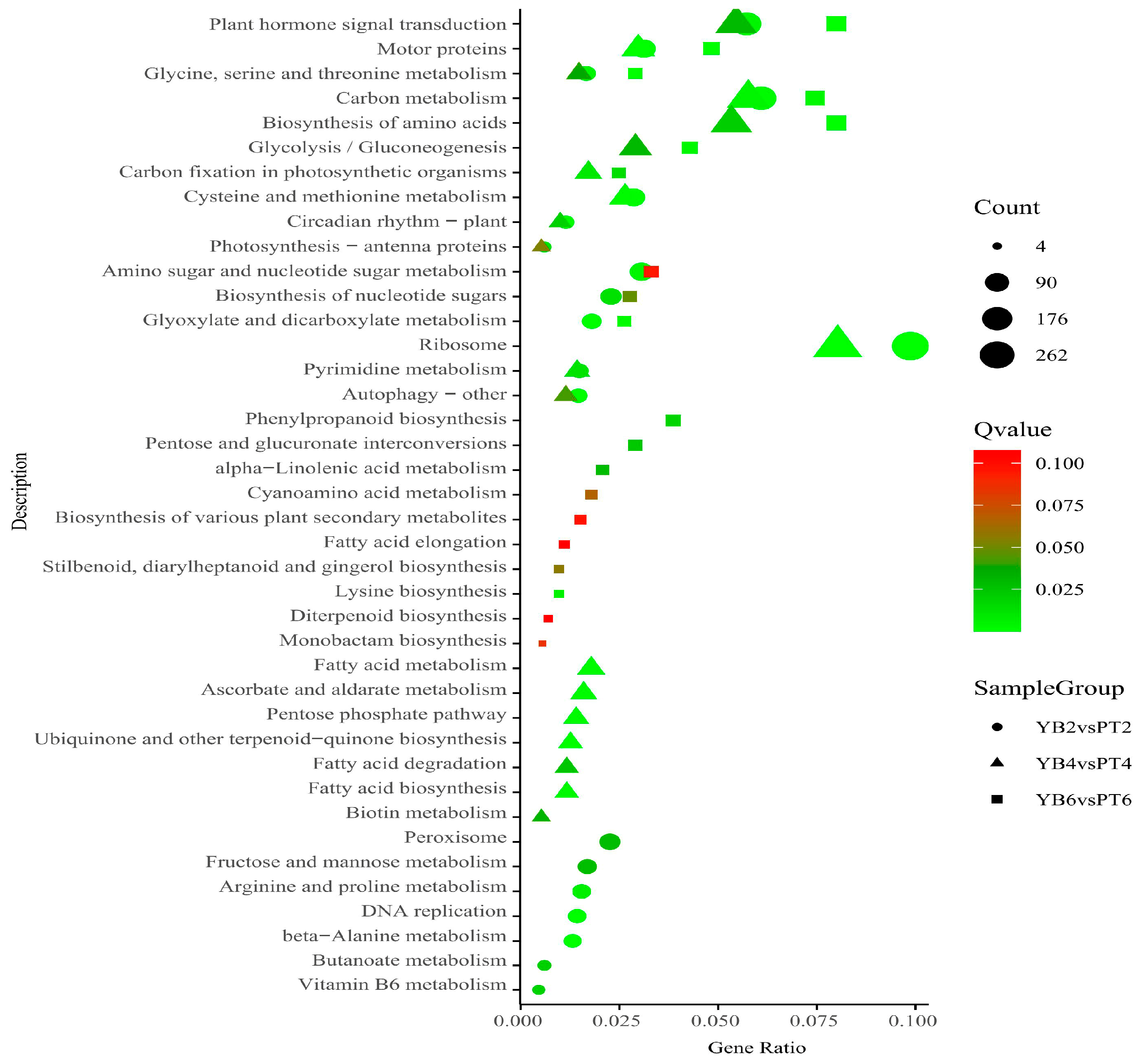 Plants 13 03504 g006
