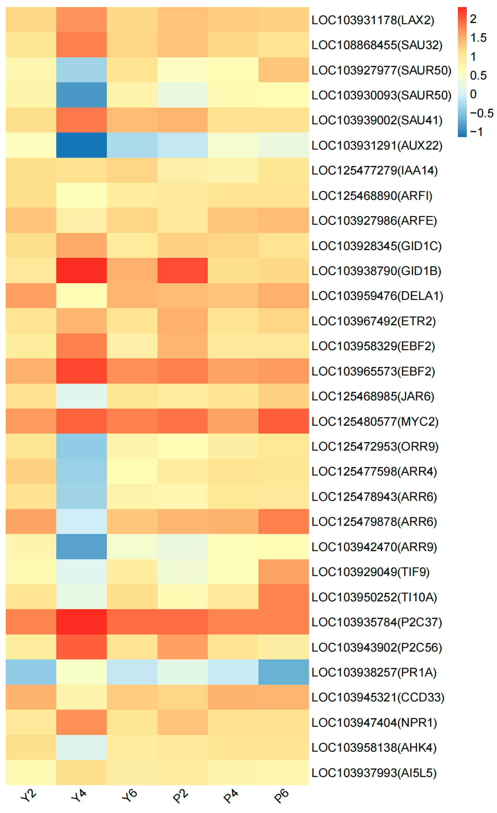 Plants 13 03504 g007