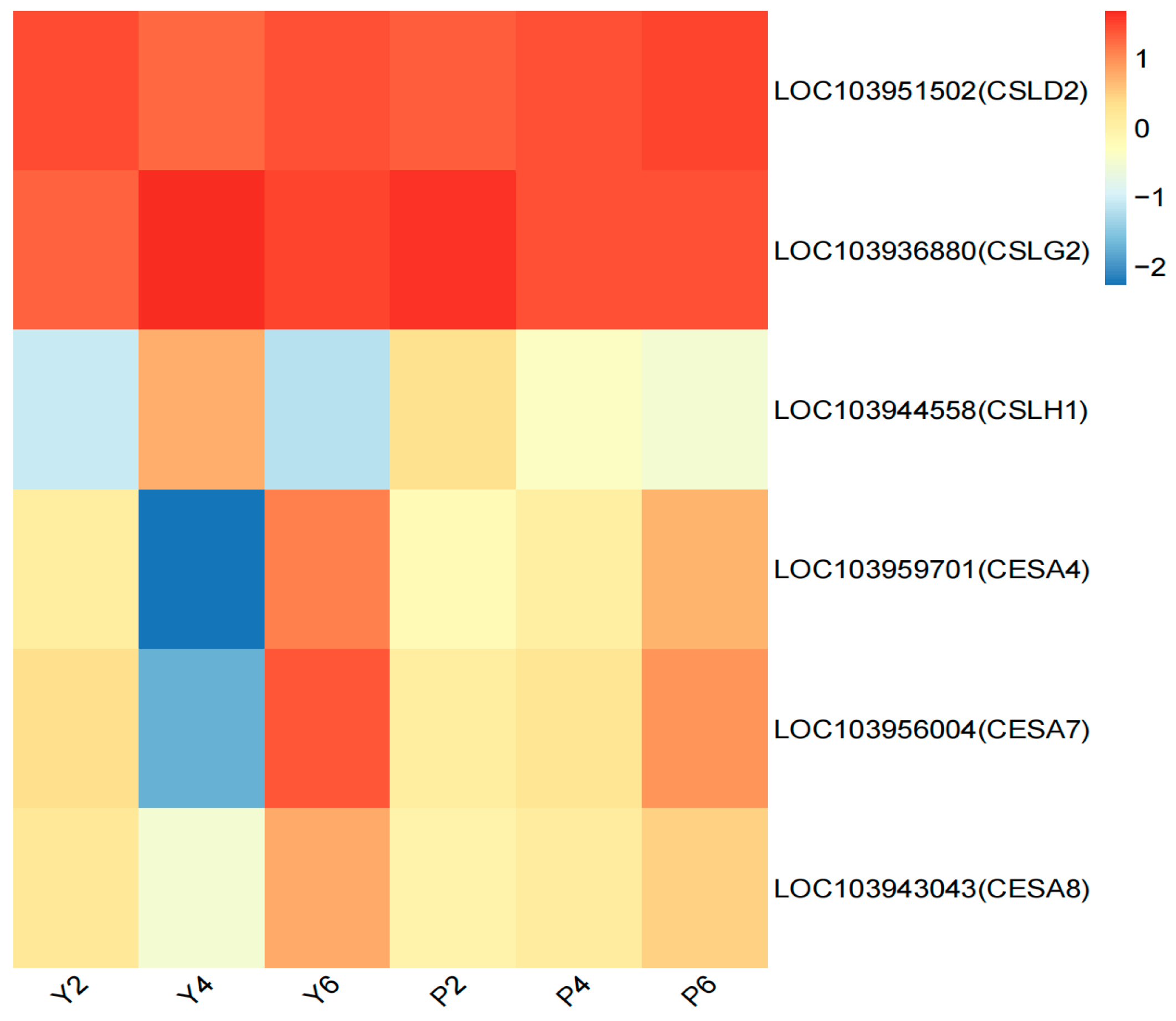 Plants 13 03504 g008