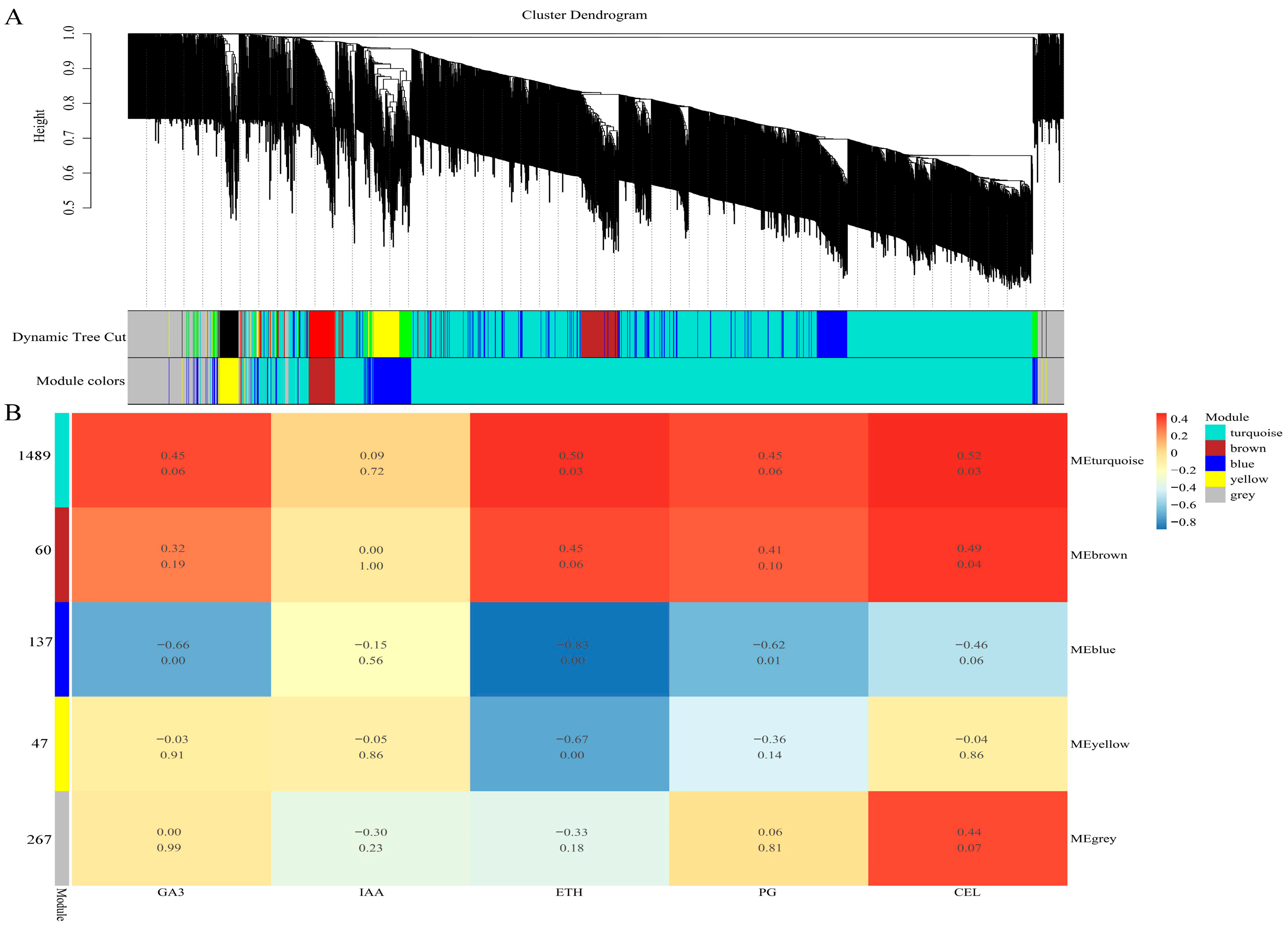 Plants 13 03504 g010