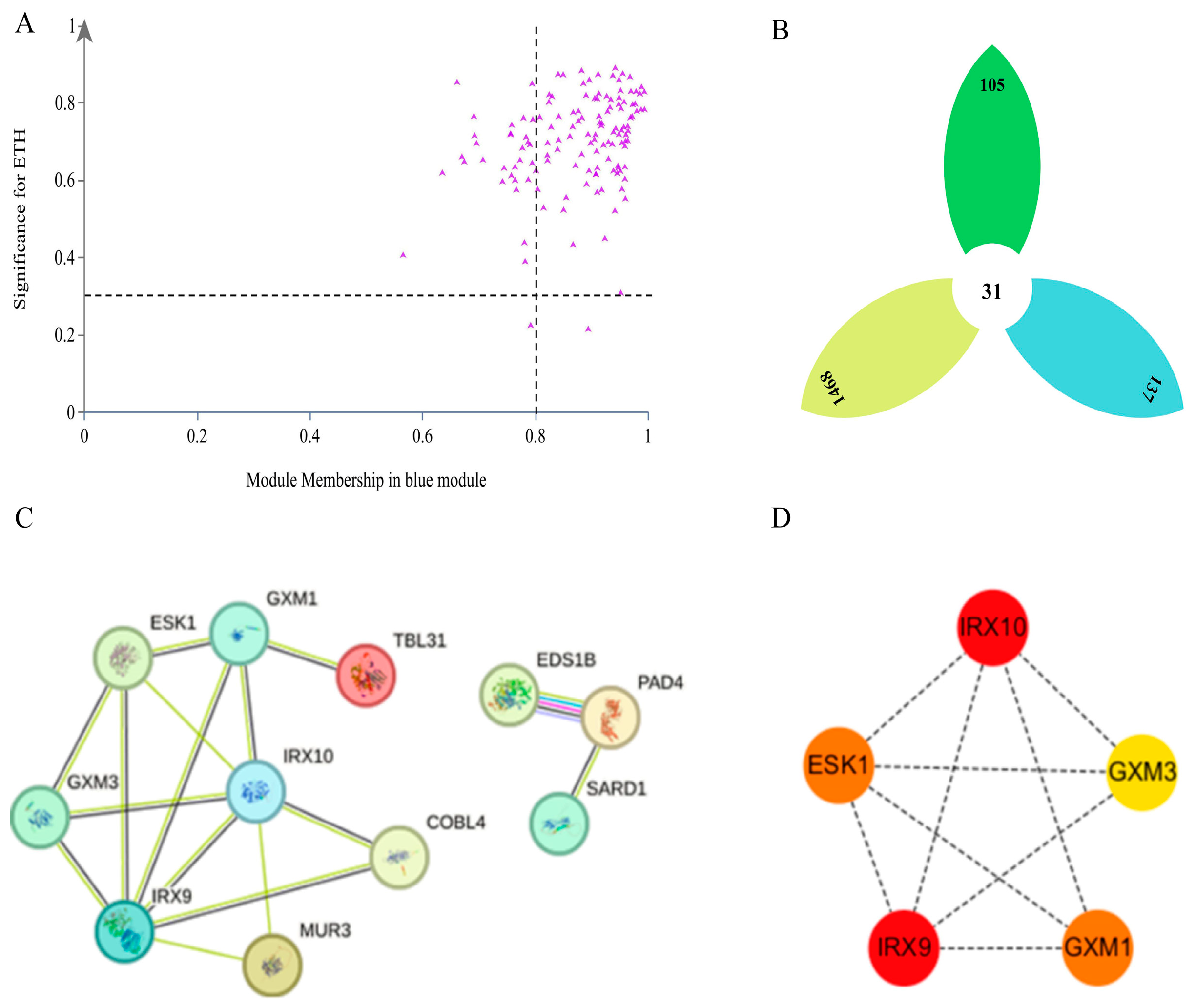 Plants 13 03504 g011