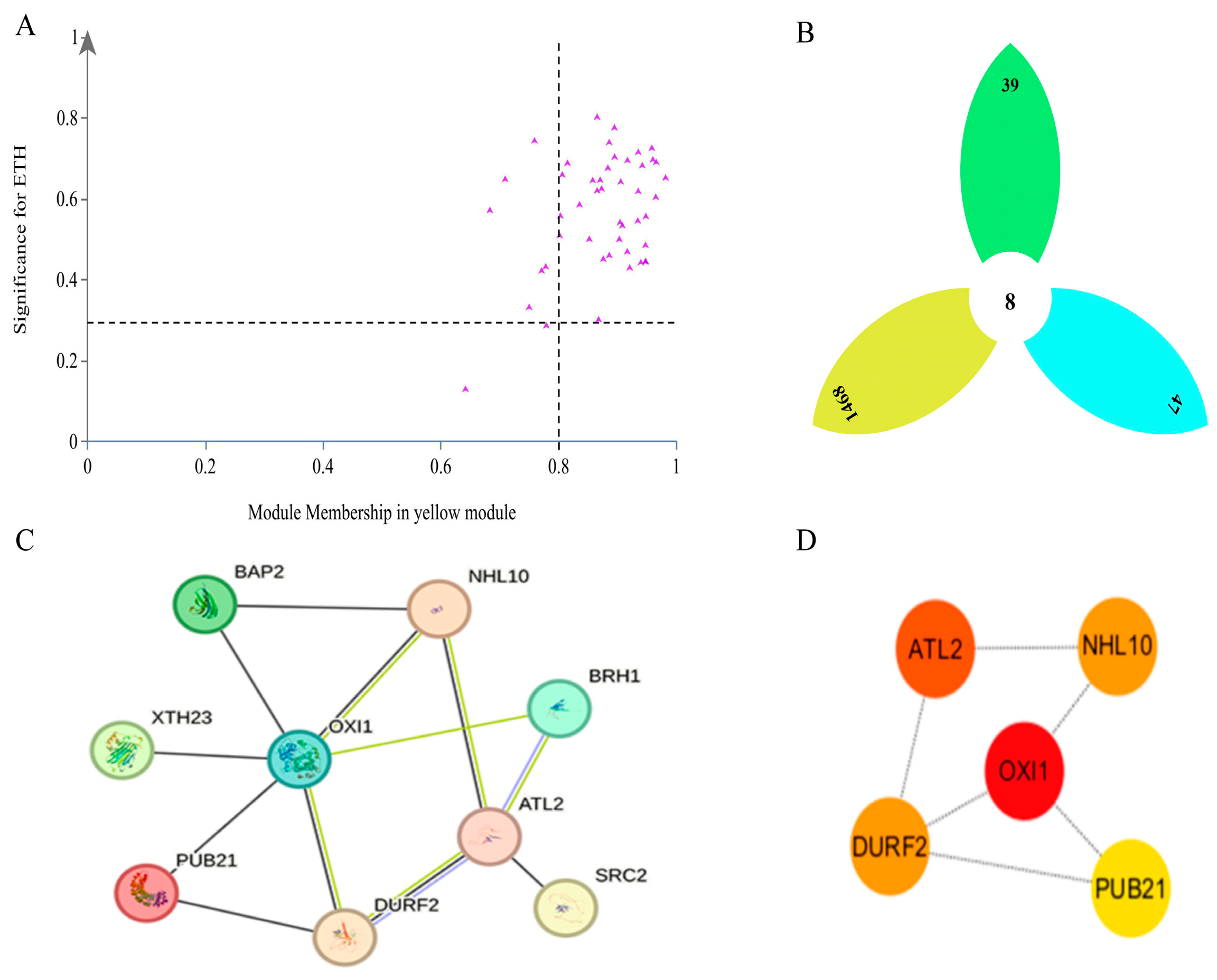 Plants 13 03504 g012
