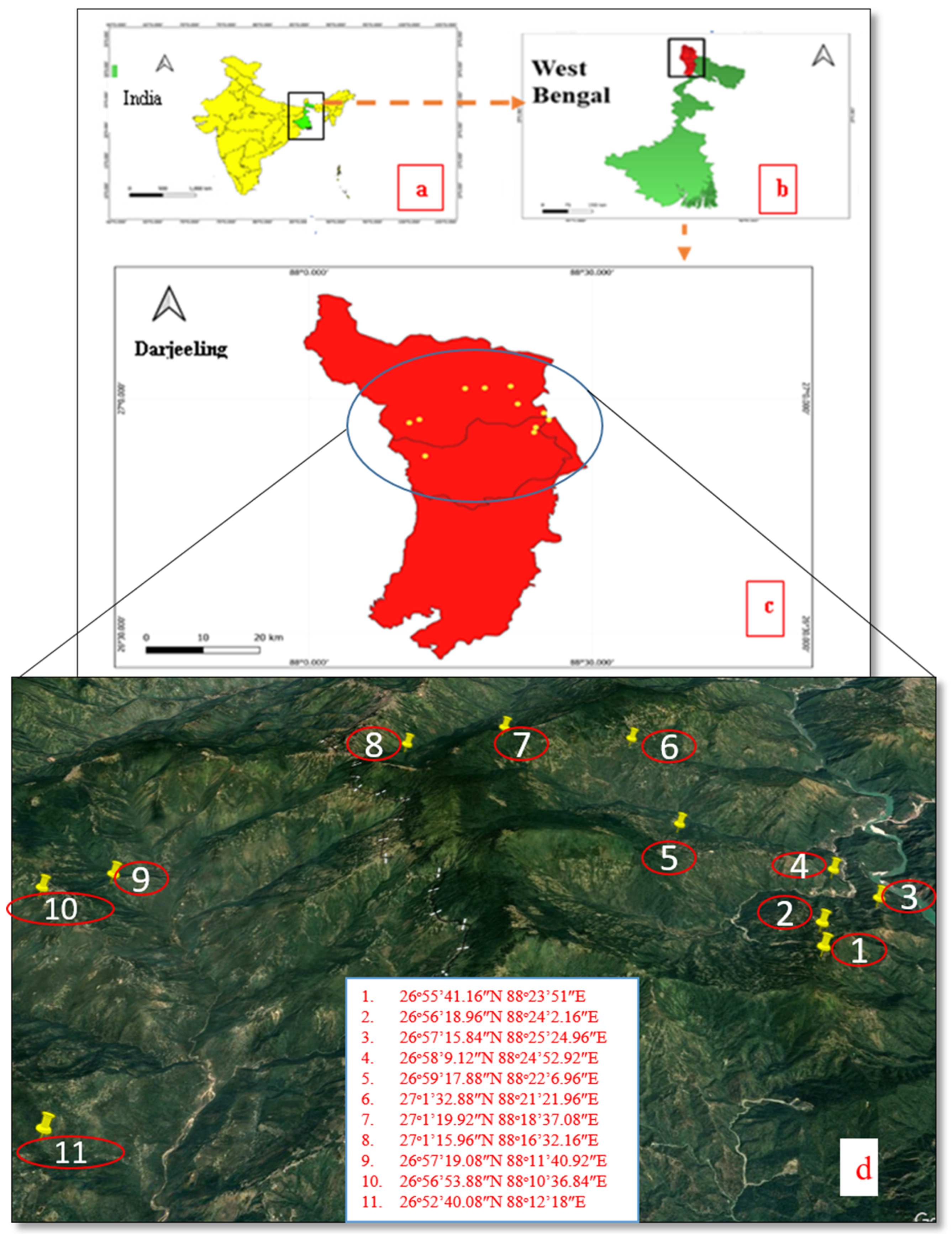 Plants 13 03505 g008