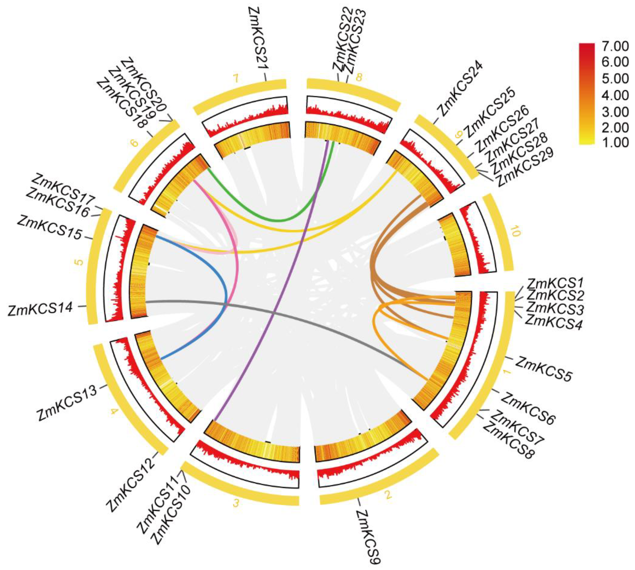 Plants 13 03507 g001