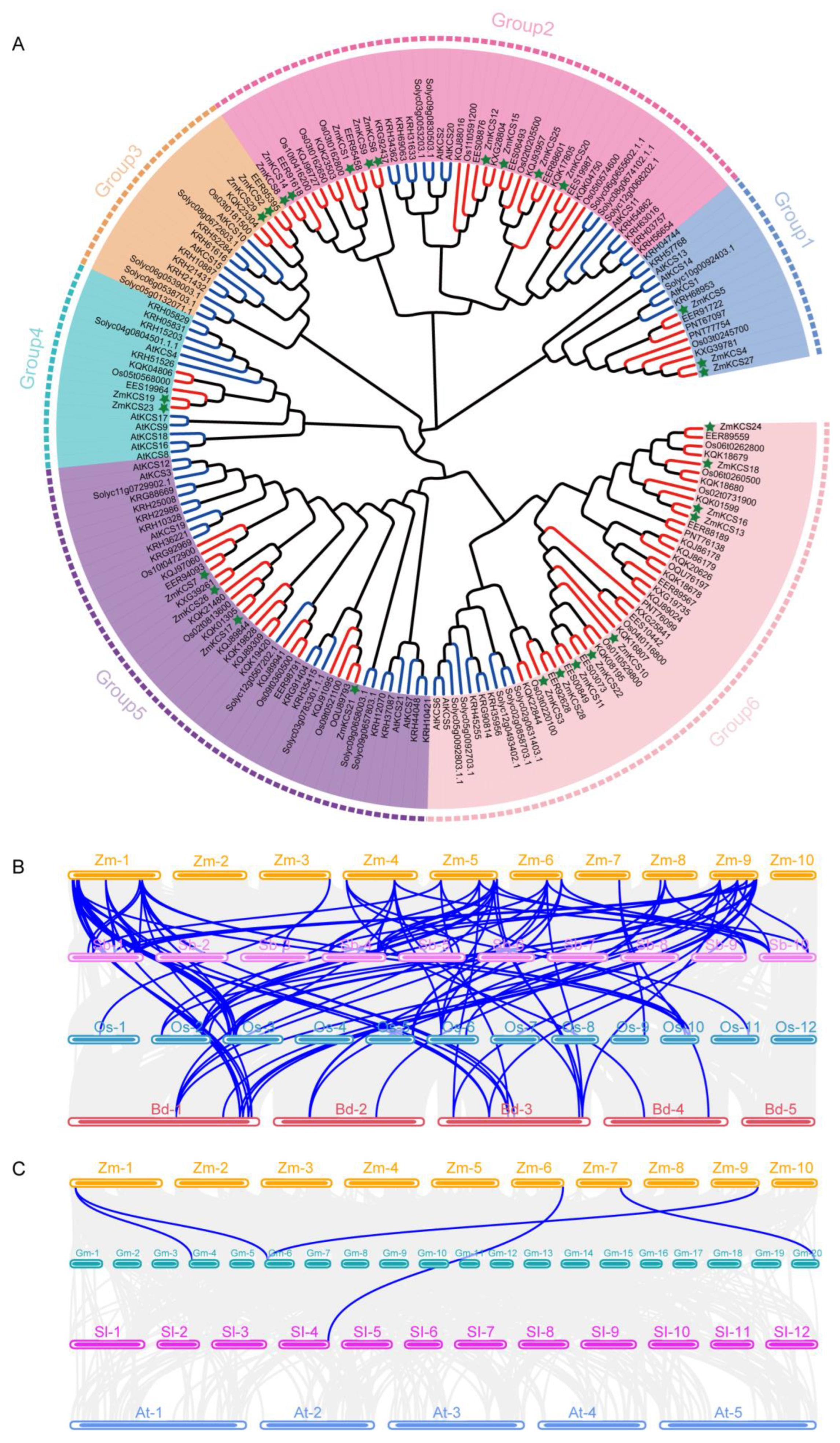 Plants 13 03507 g002