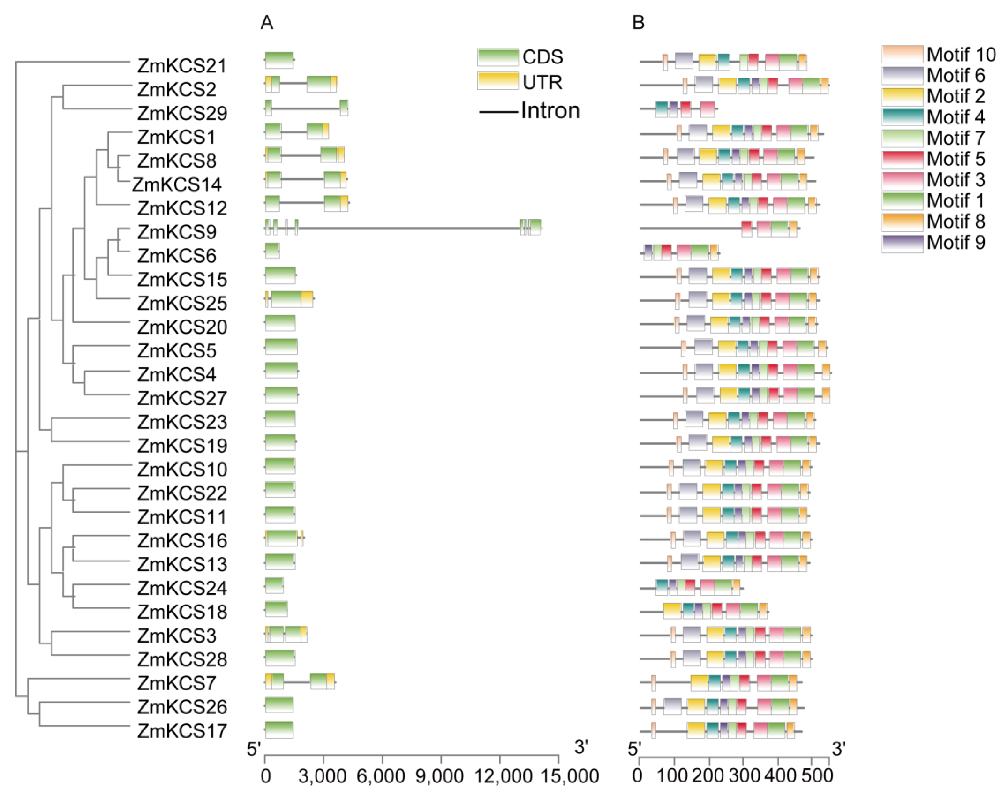 Plants 13 03507 g003