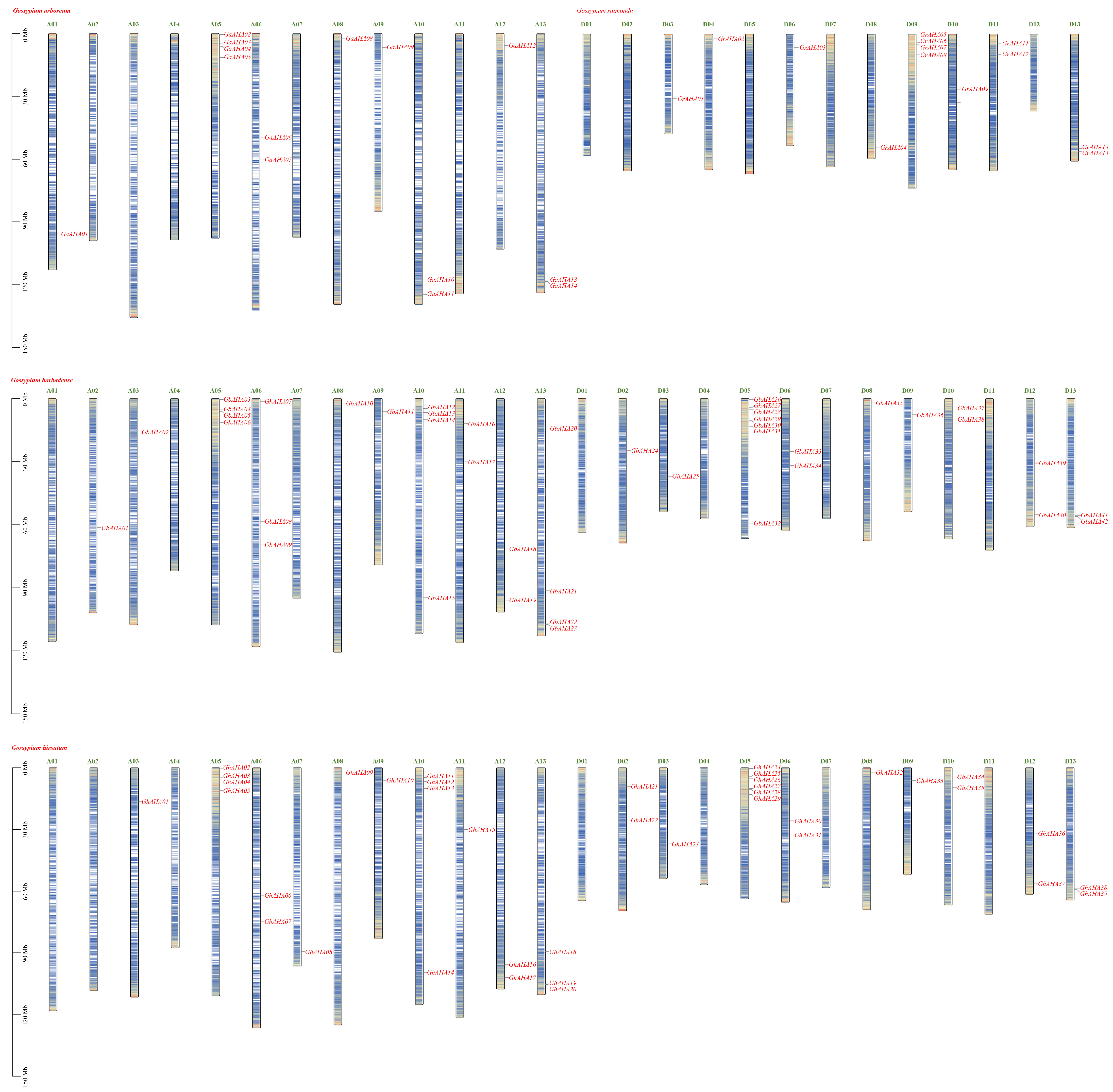 Plants 13 03510 g001