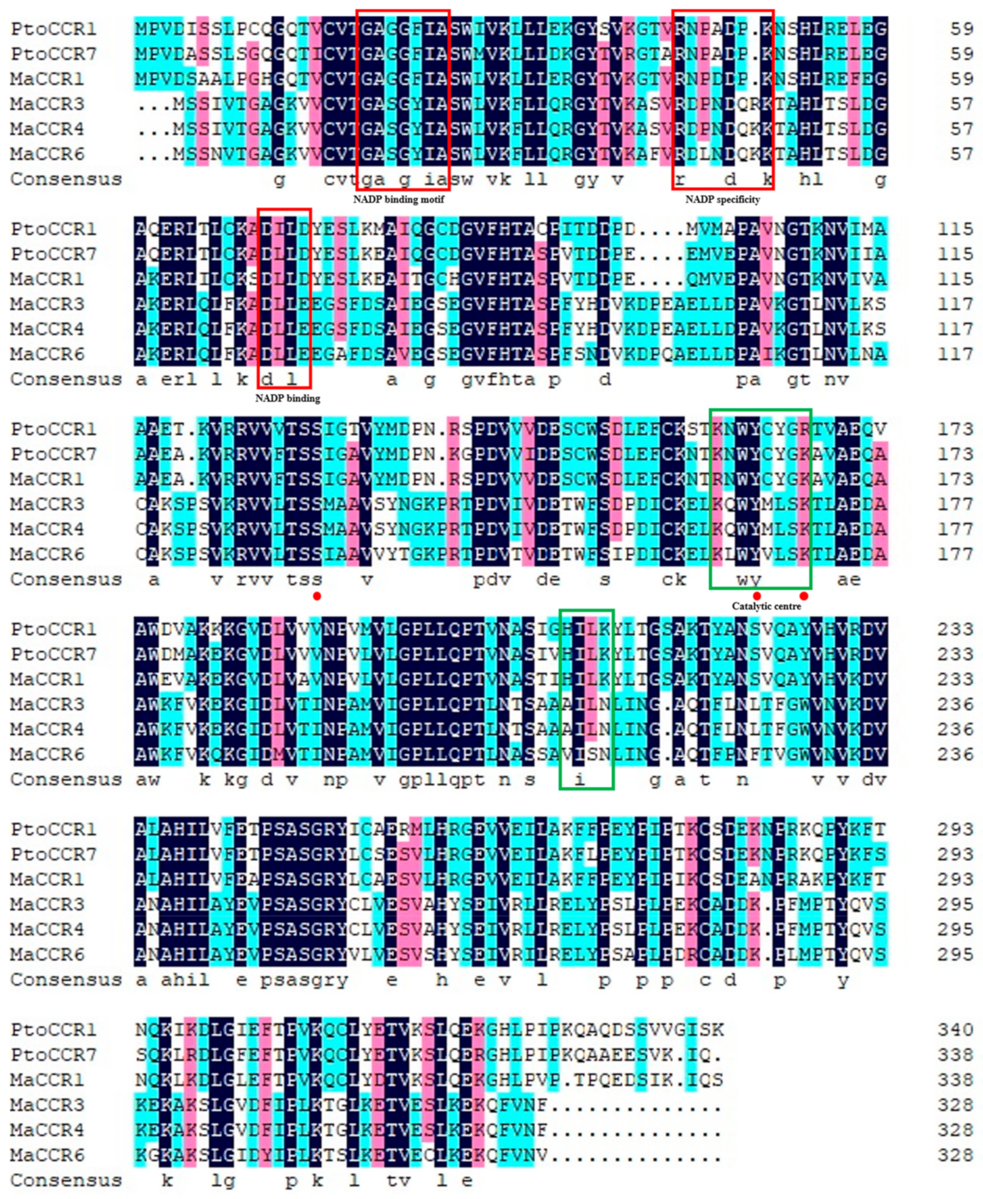 Plants 13 03512 g002