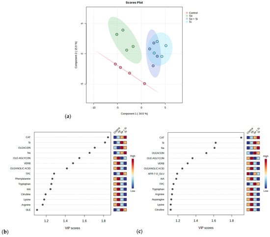 Plants 13 03514 g002