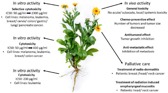 Plants 13 03515 g004