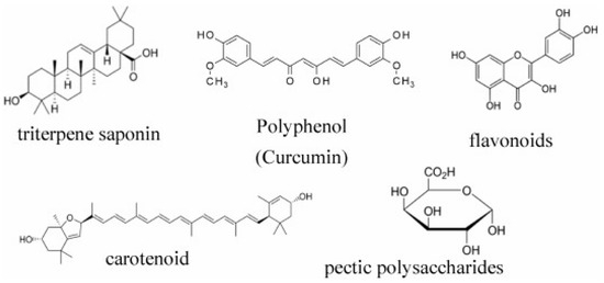 Plants 13 03515 g005