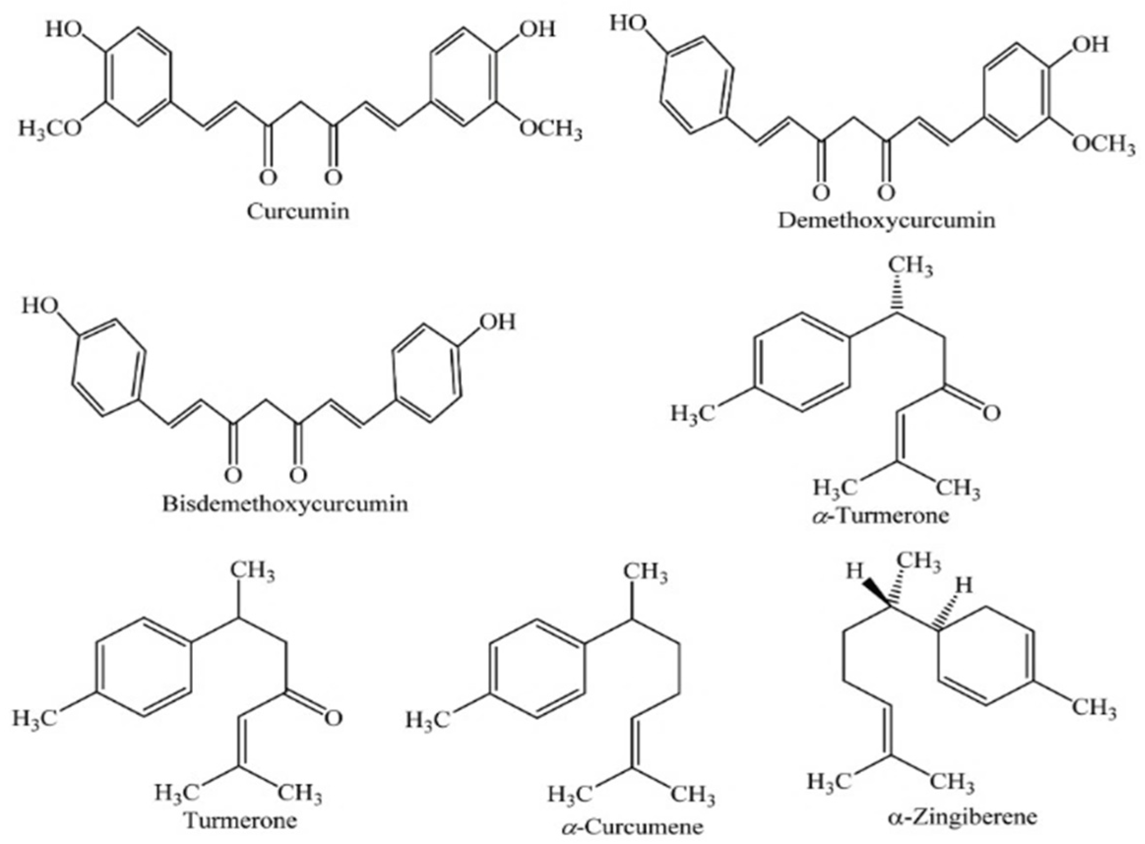 Plants 13 03515 g007
