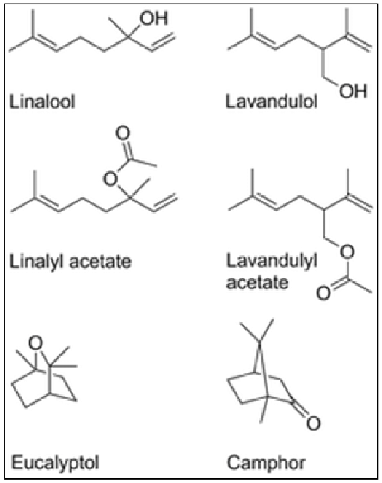Plants 13 03515 g013