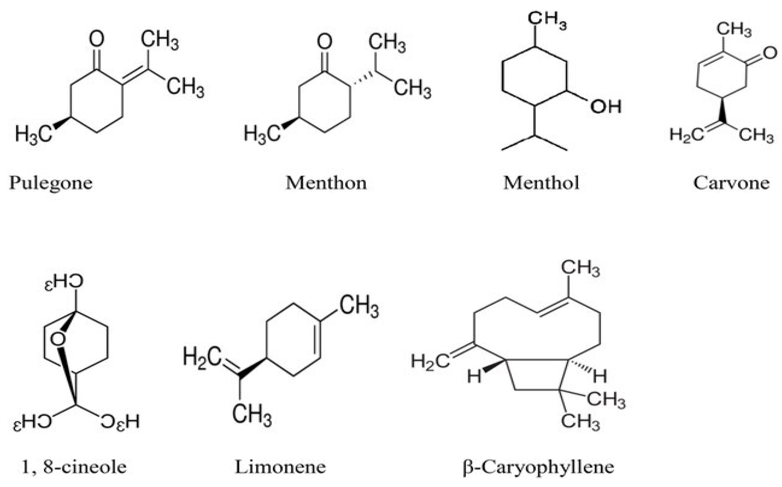 Plants 13 03515 g015