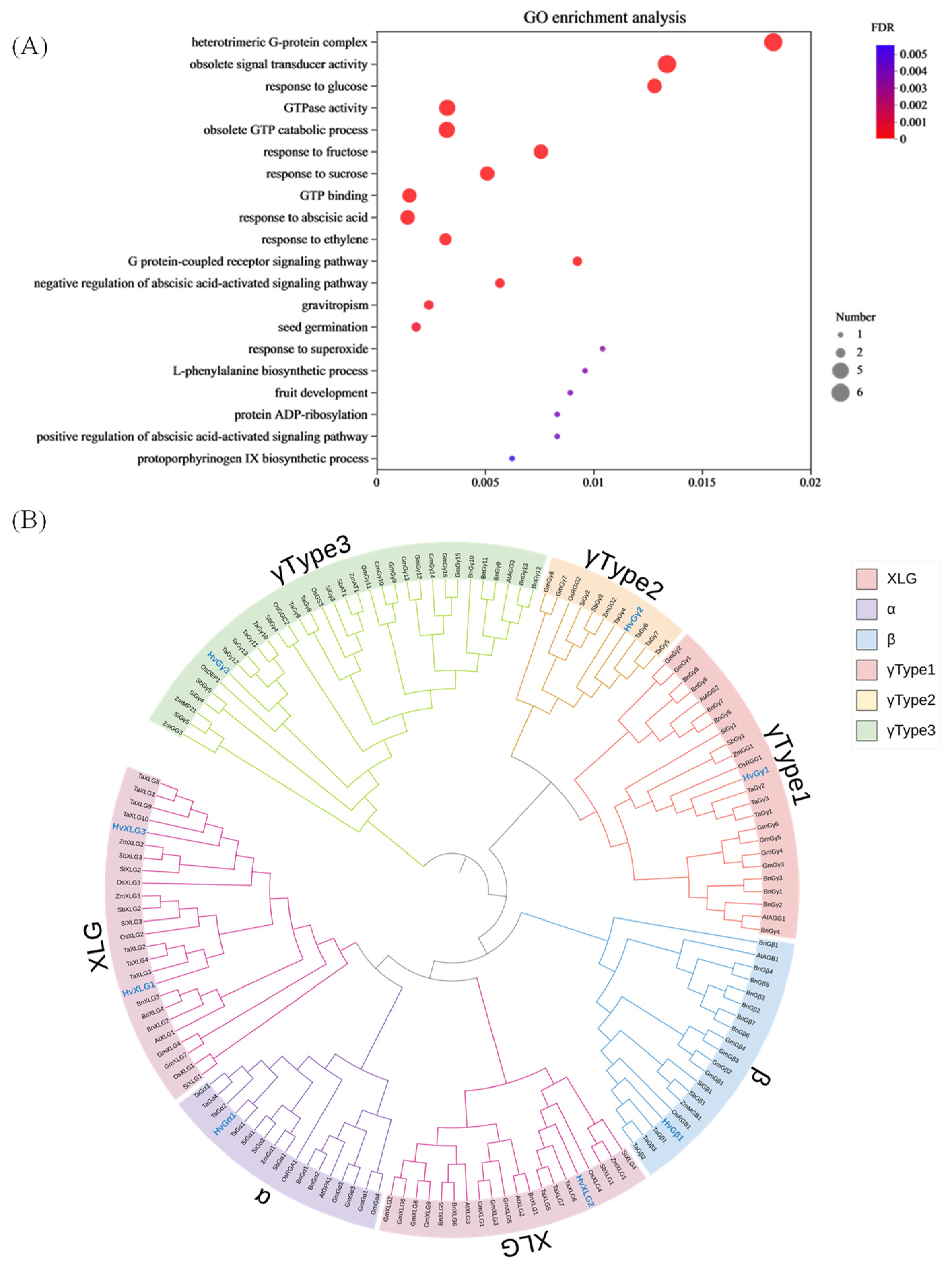 Plants 13 03521 g001