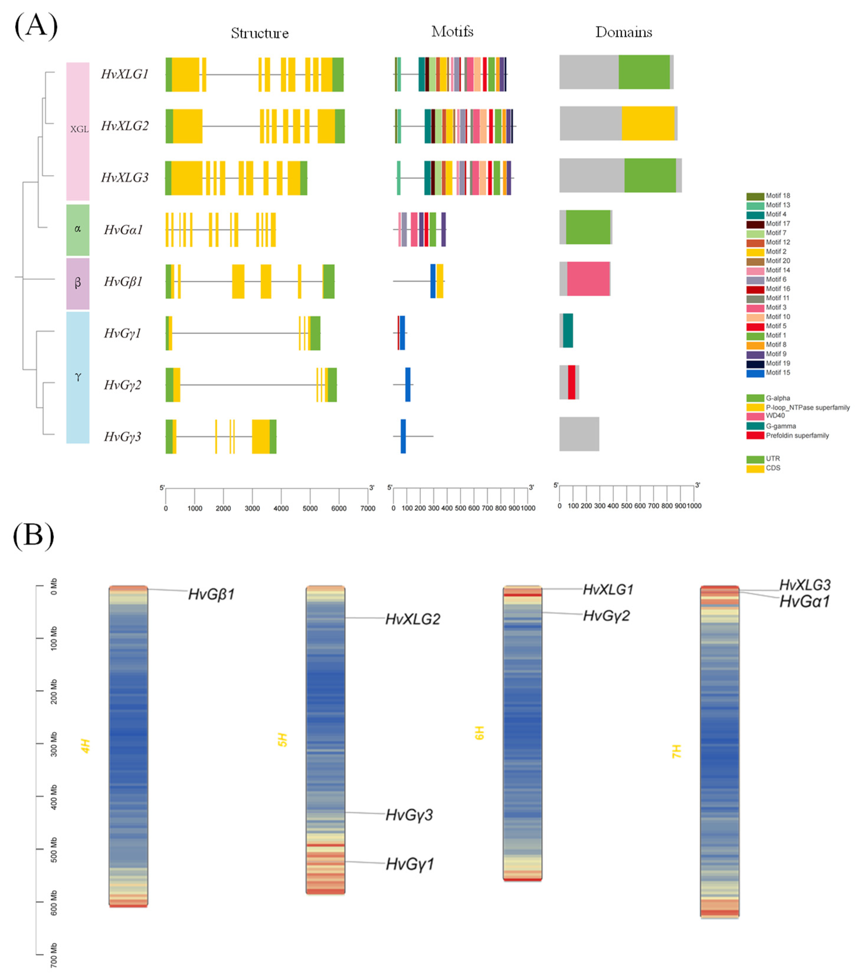 Plants 13 03521 g002