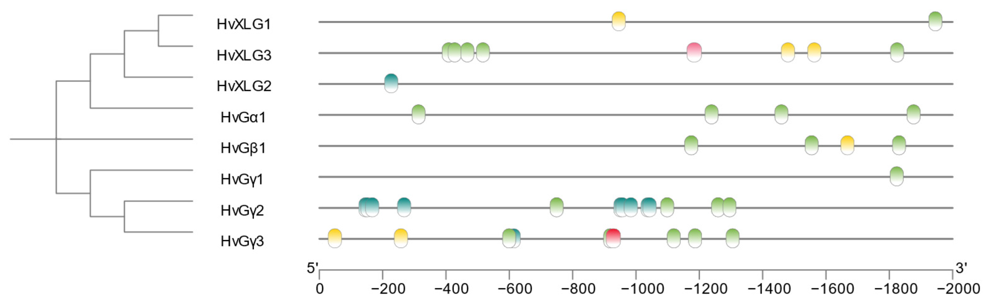 Plants 13 03521 g004