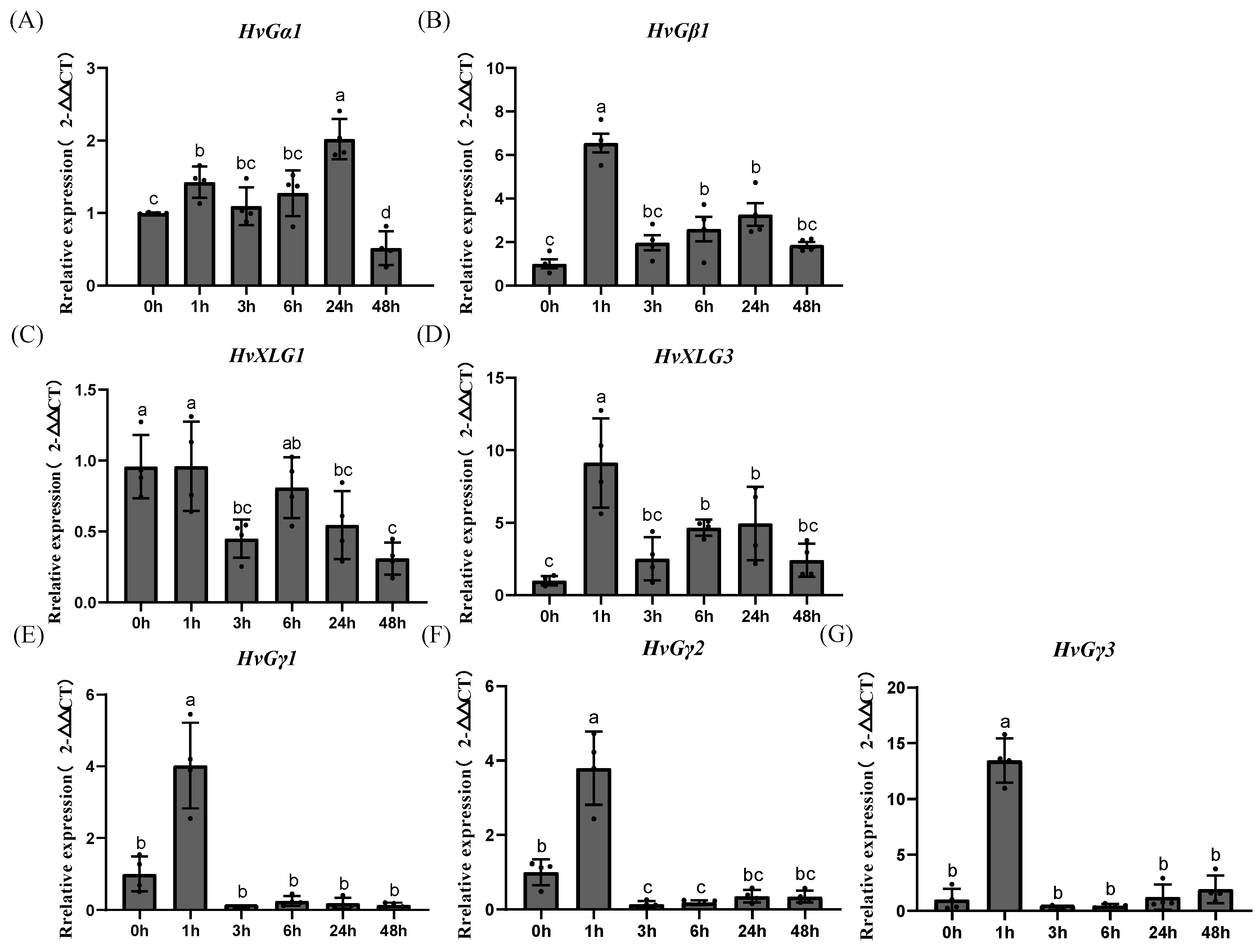 Plants 13 03521 g007