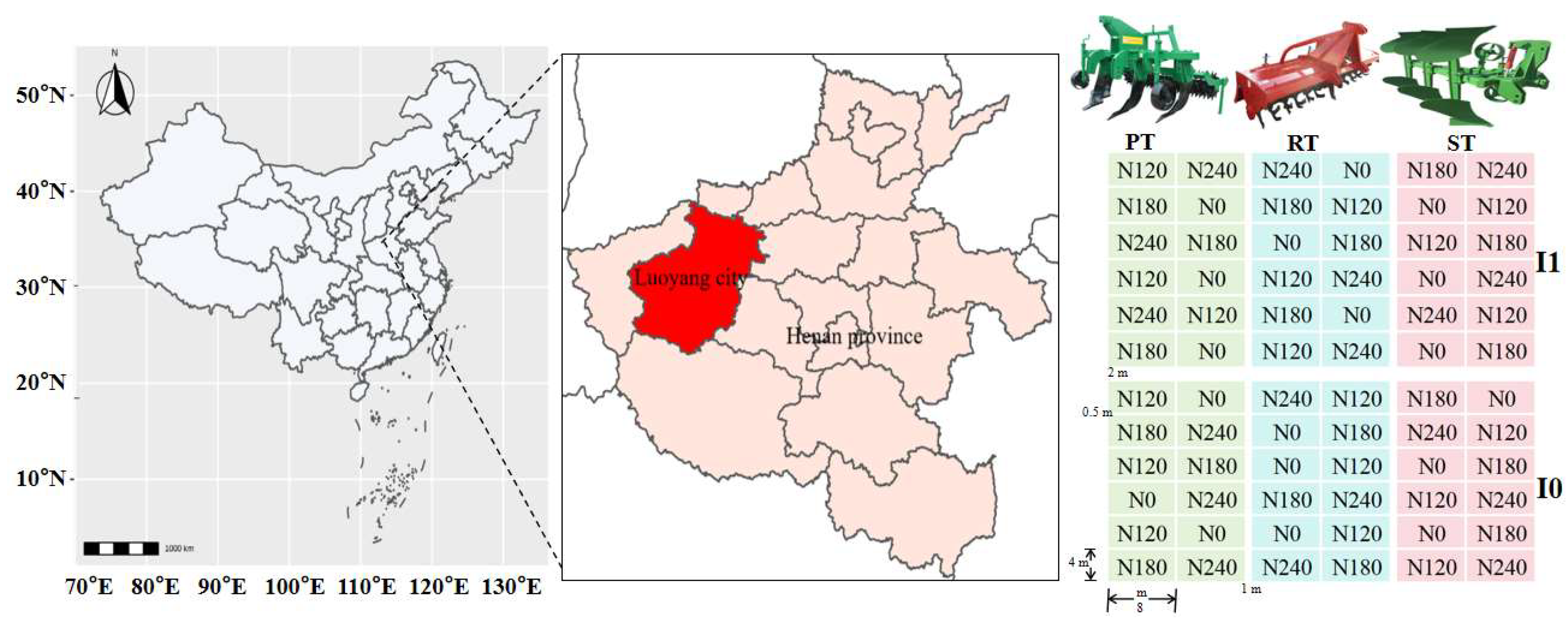 Plants 13 03526 g004