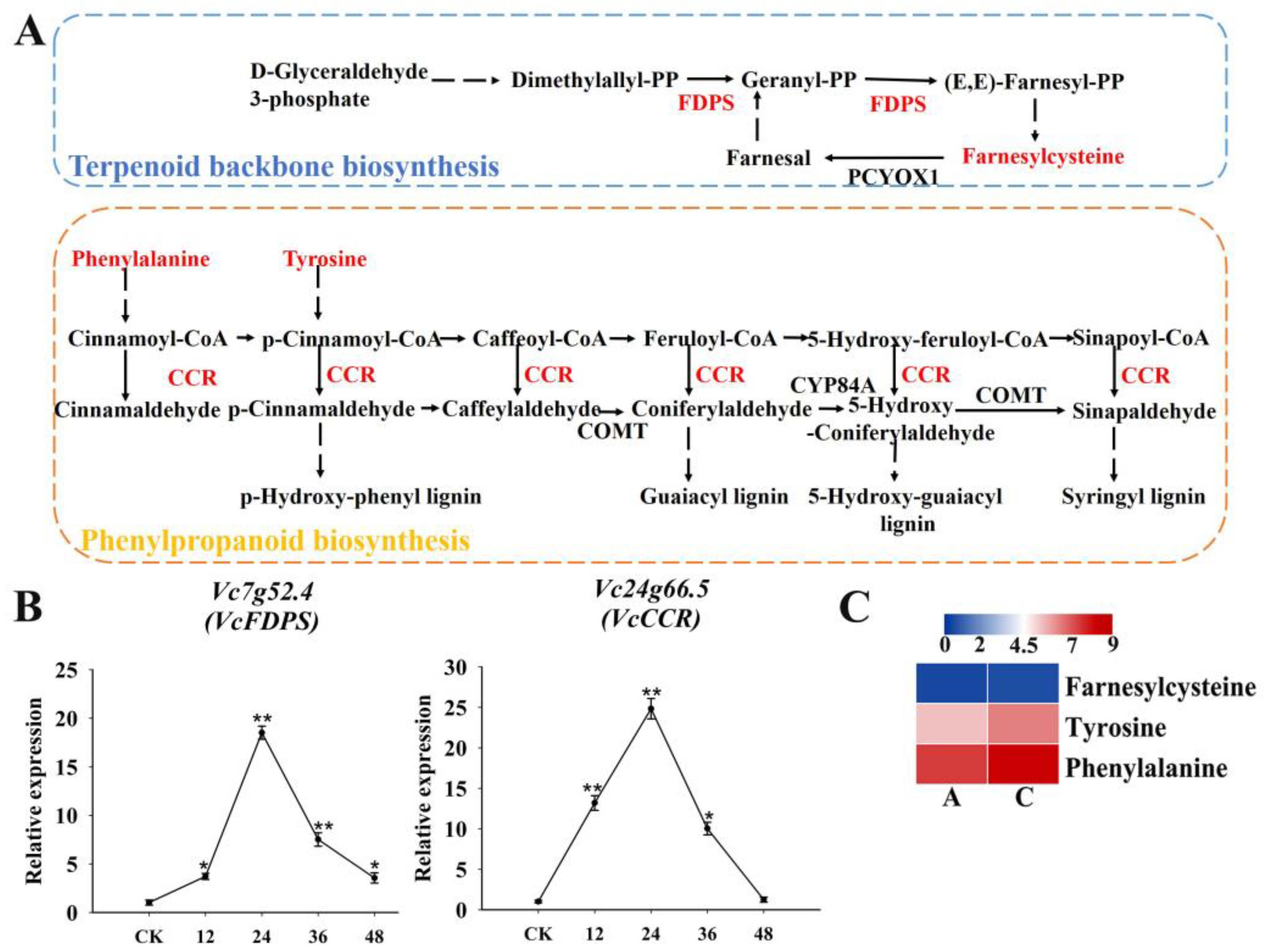 Plants 13 03528 g010