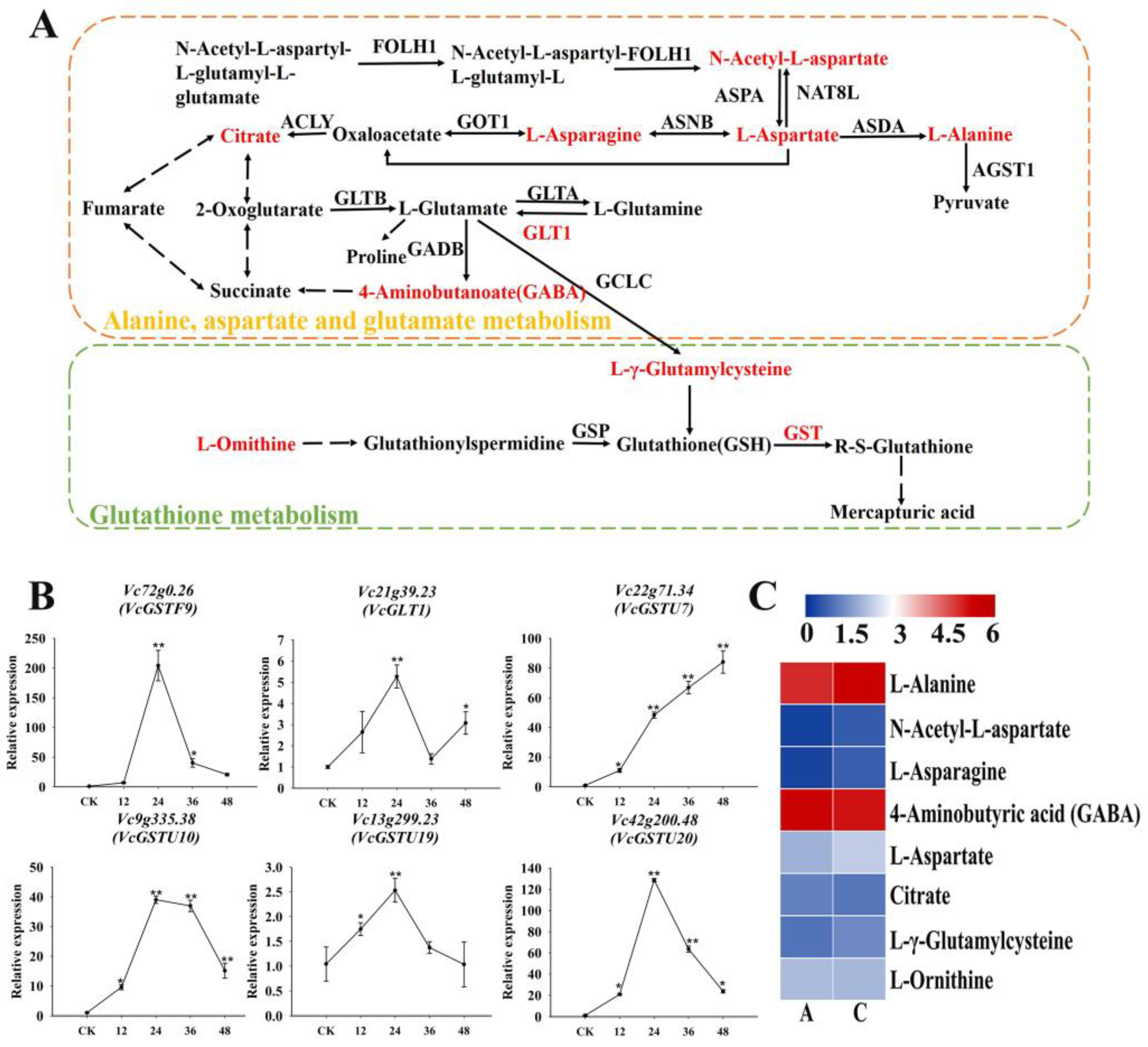 Plants 13 03528 g011