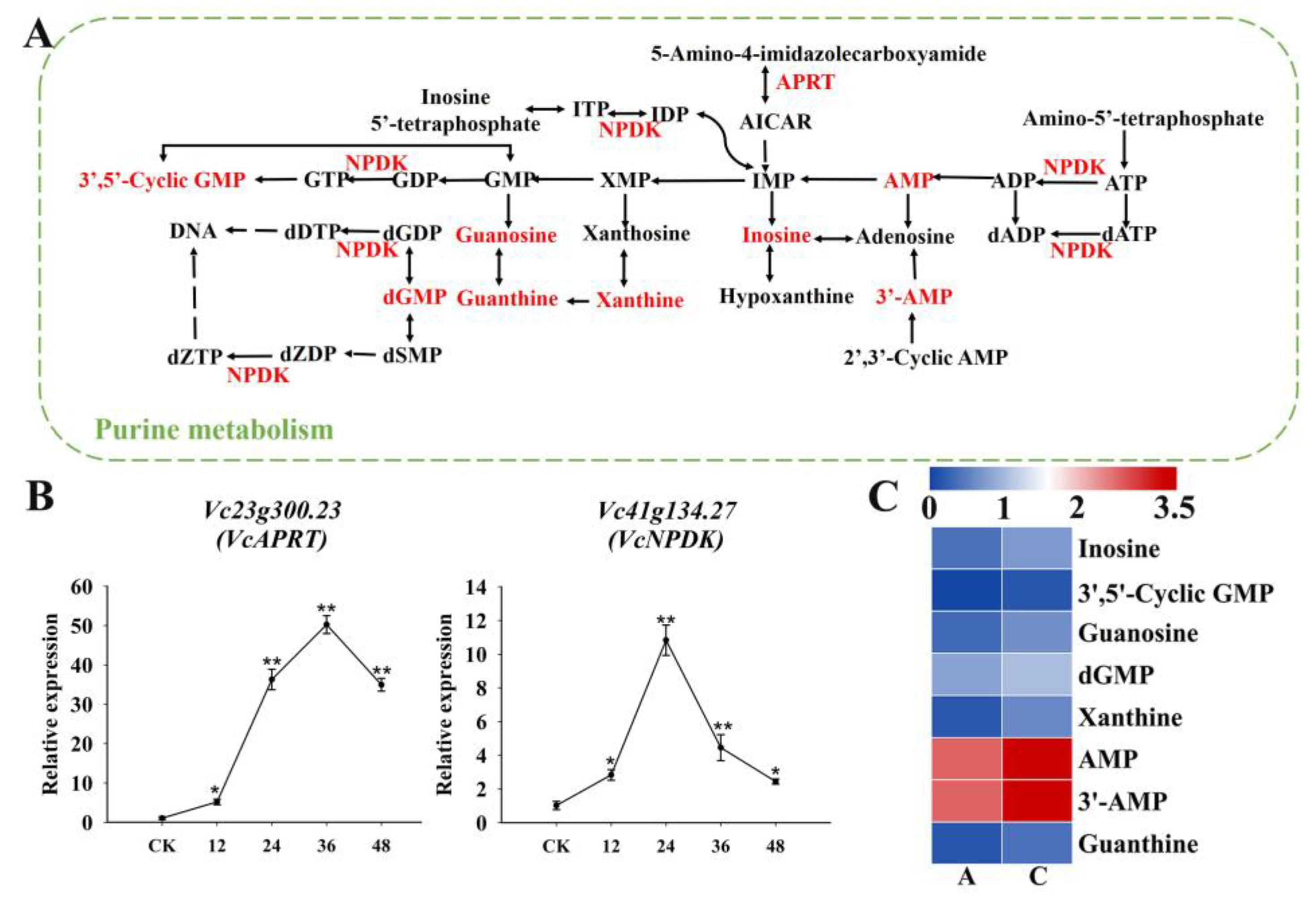 Plants 13 03528 g012
