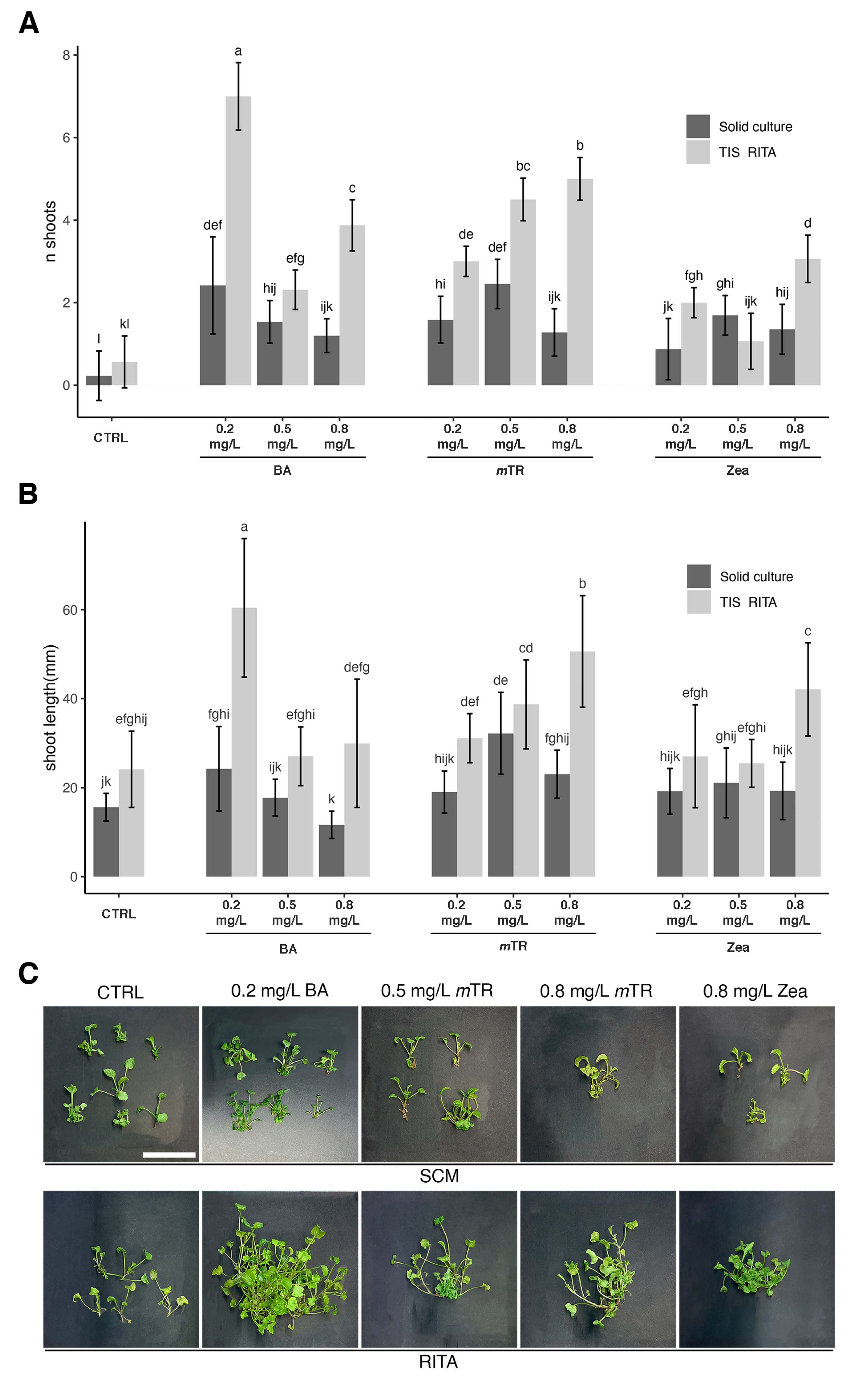 Plants 13 03530 g001