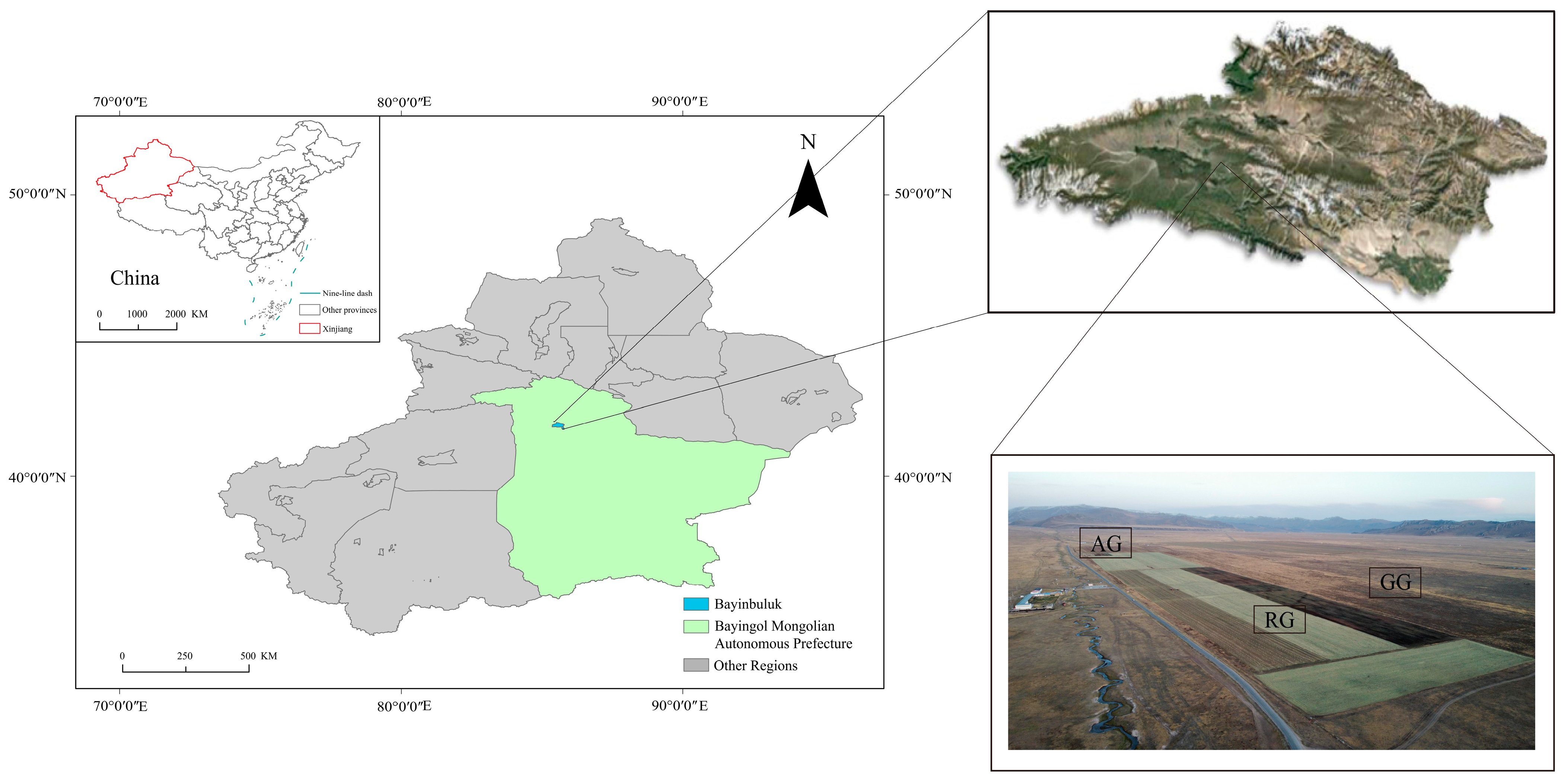 Plants 13 03531 g001