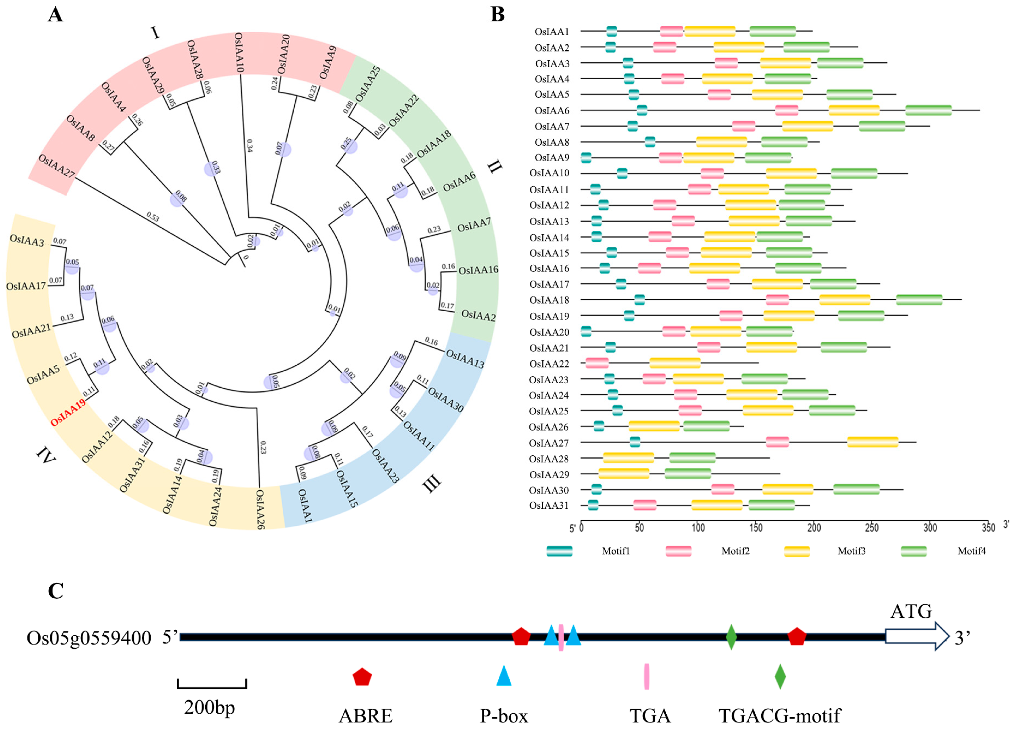 Plants 13 03538 g001