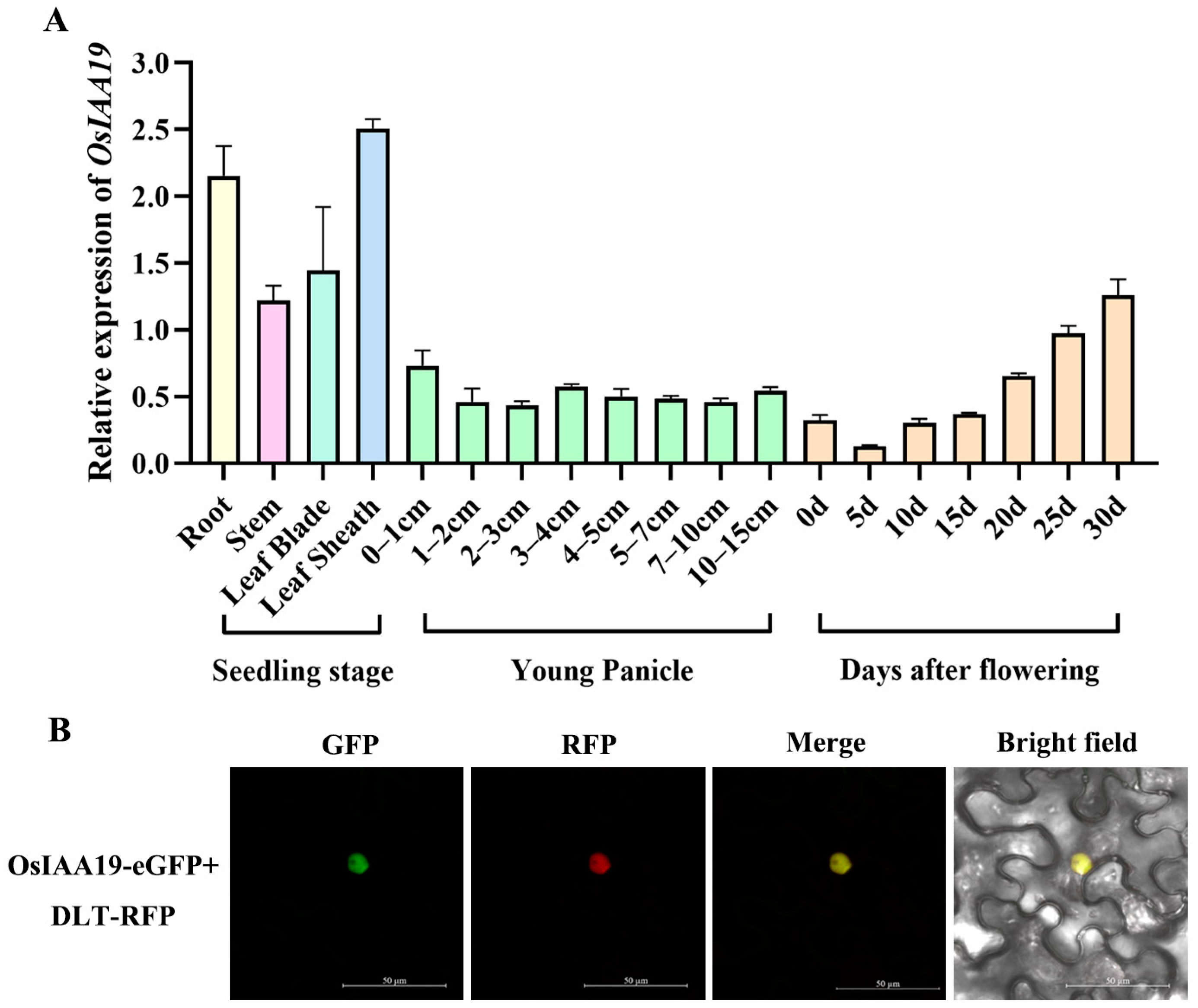 Plants 13 03538 g002