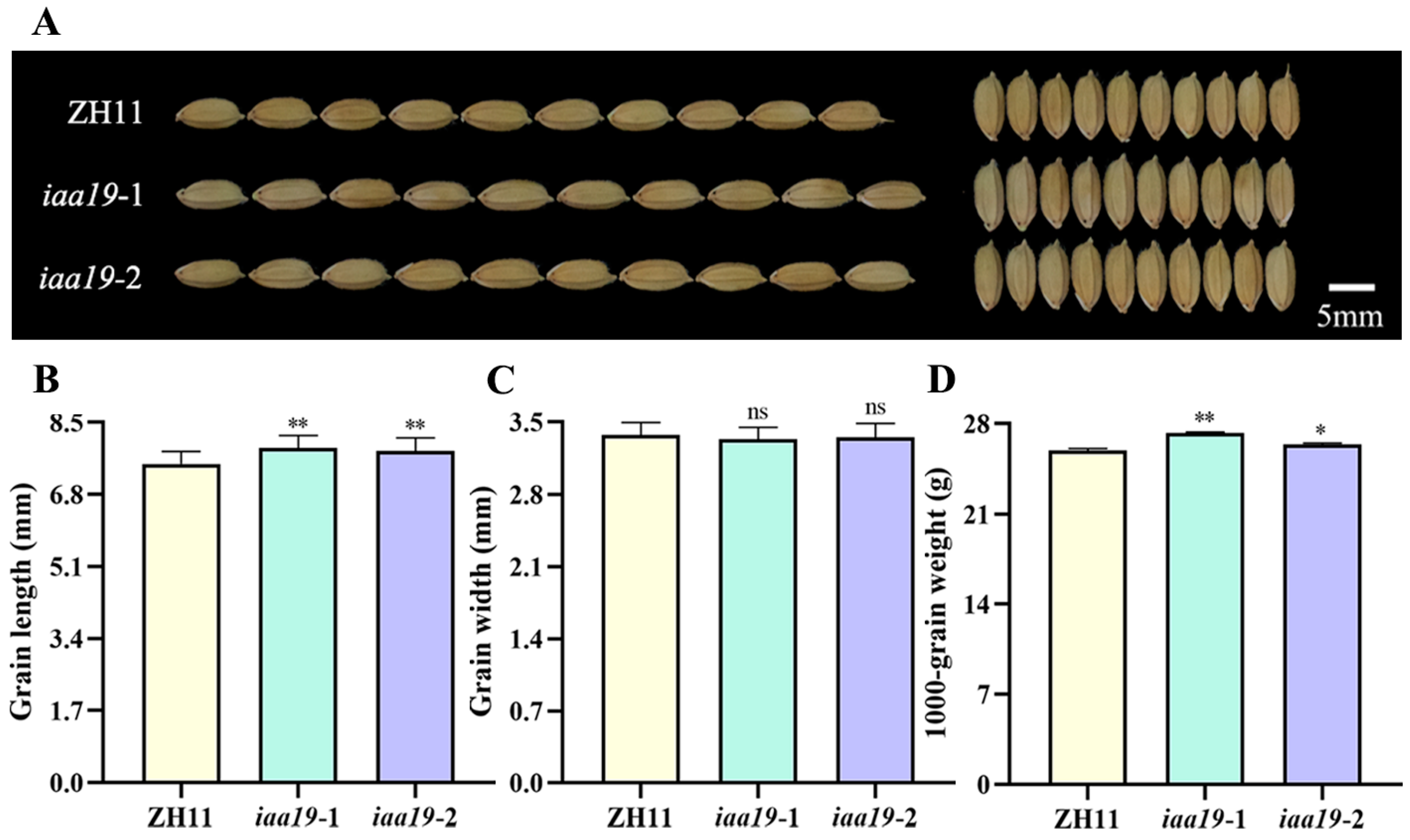 Plants 13 03538 g004