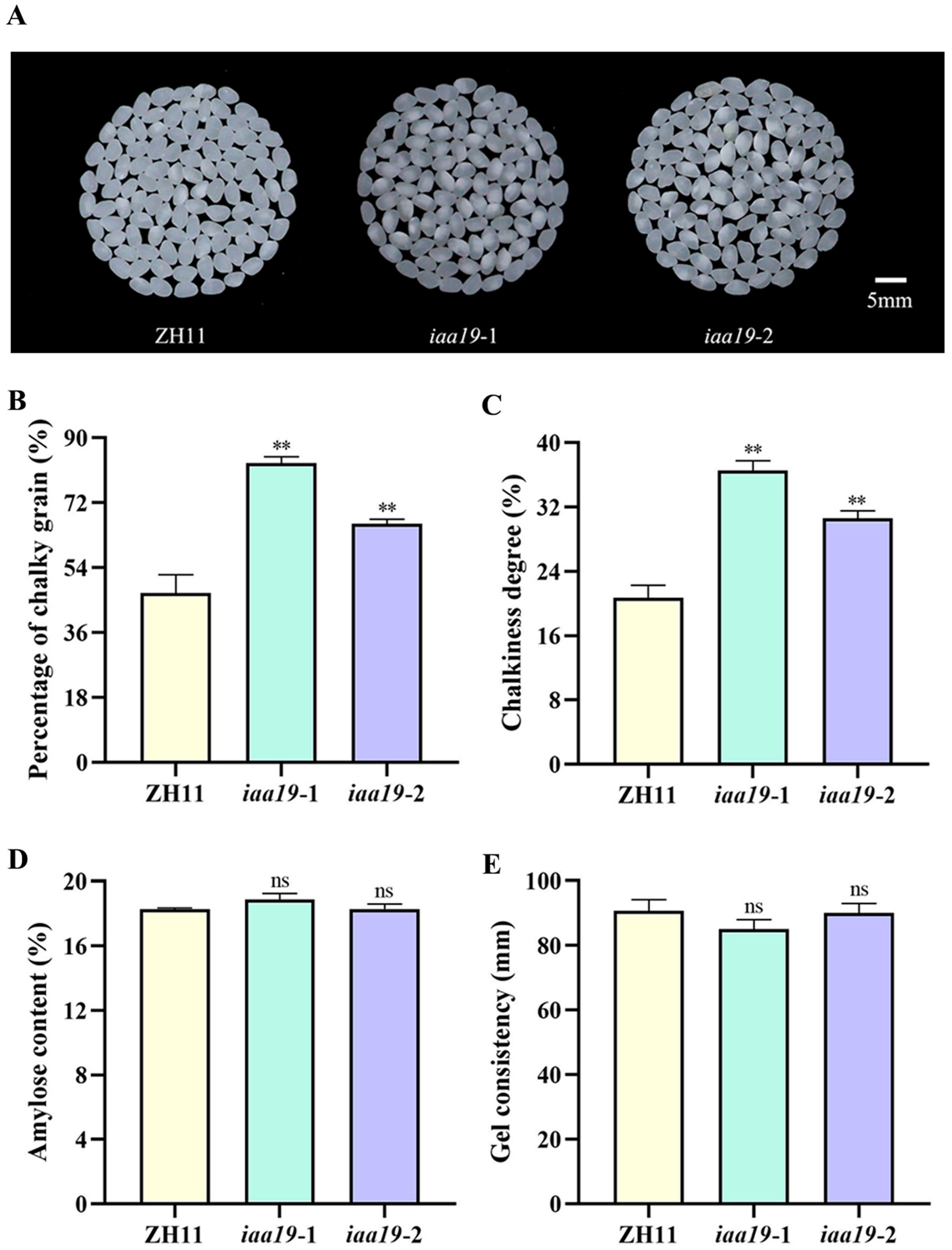 Plants 13 03538 g006