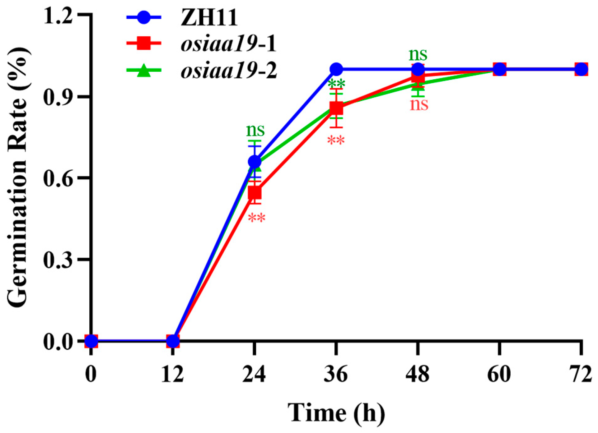 Plants 13 03538 g007