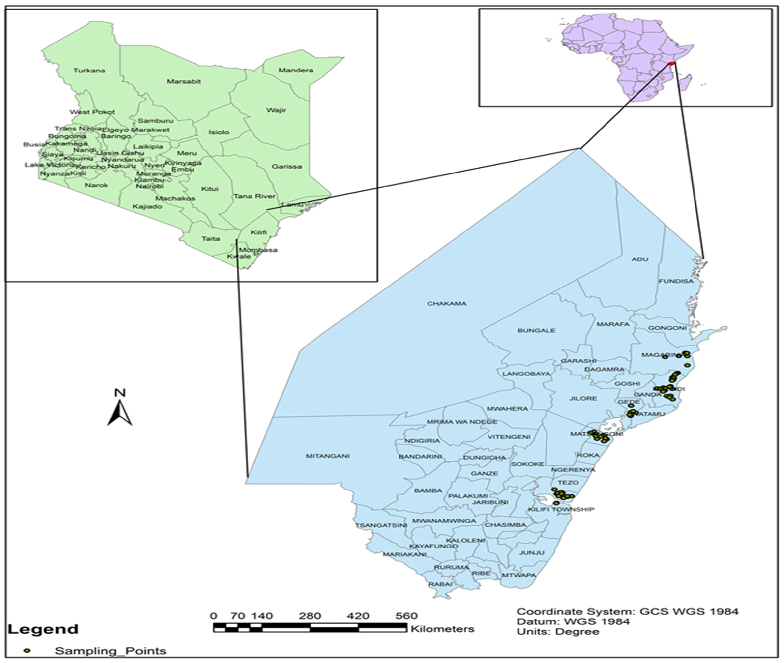 Plants 13 03547 g001