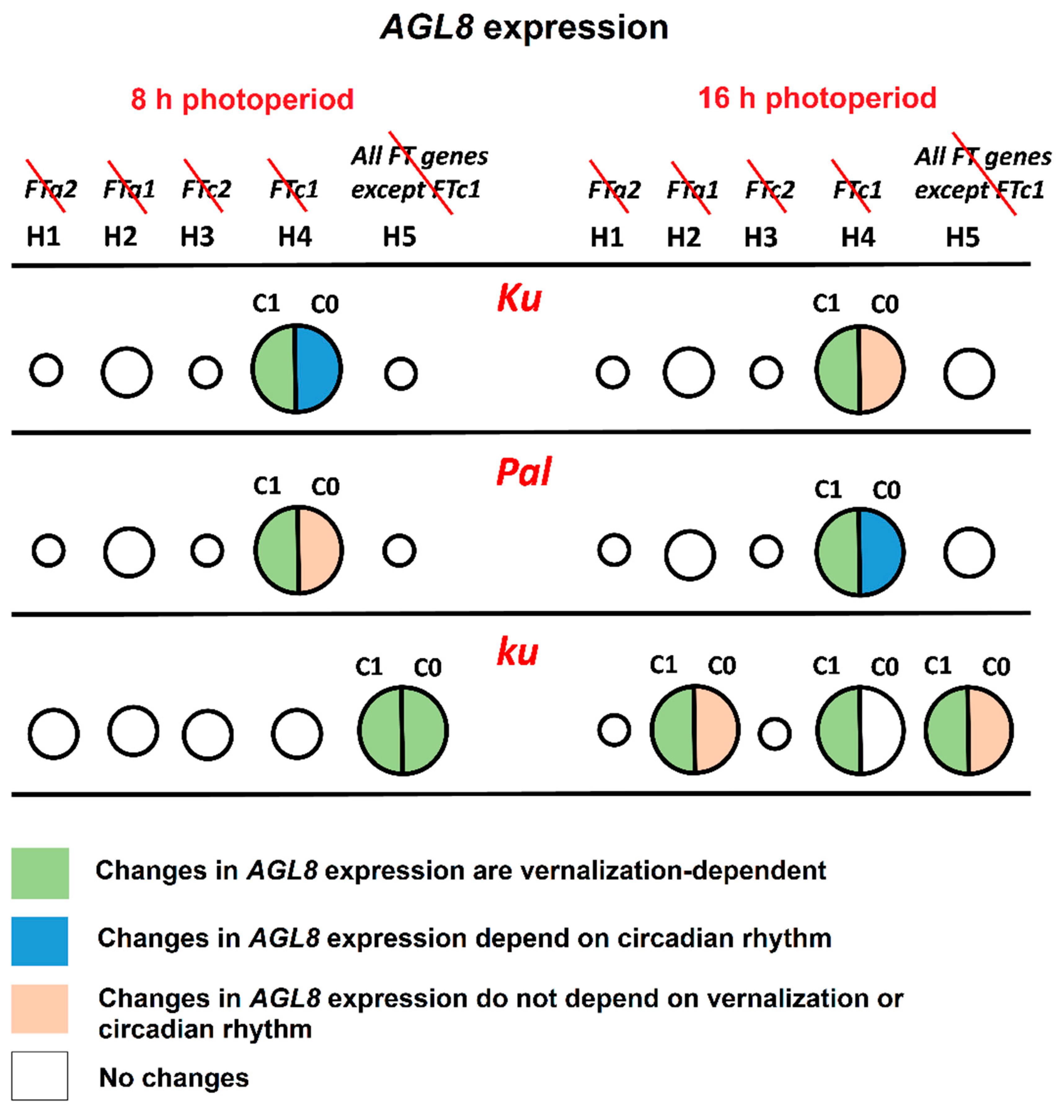 Plants 13 03548 g008