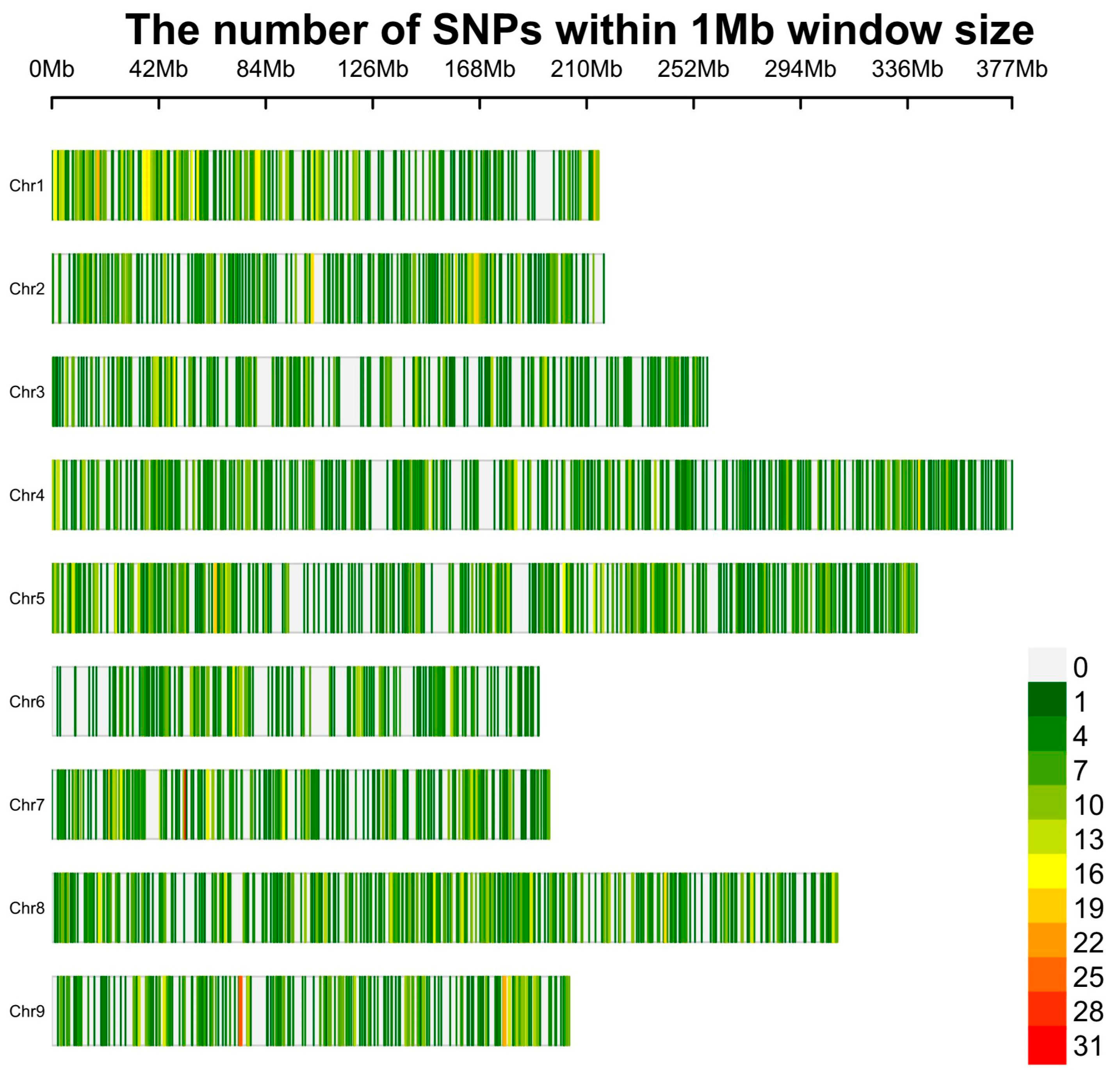 Plants 13 03552 g001