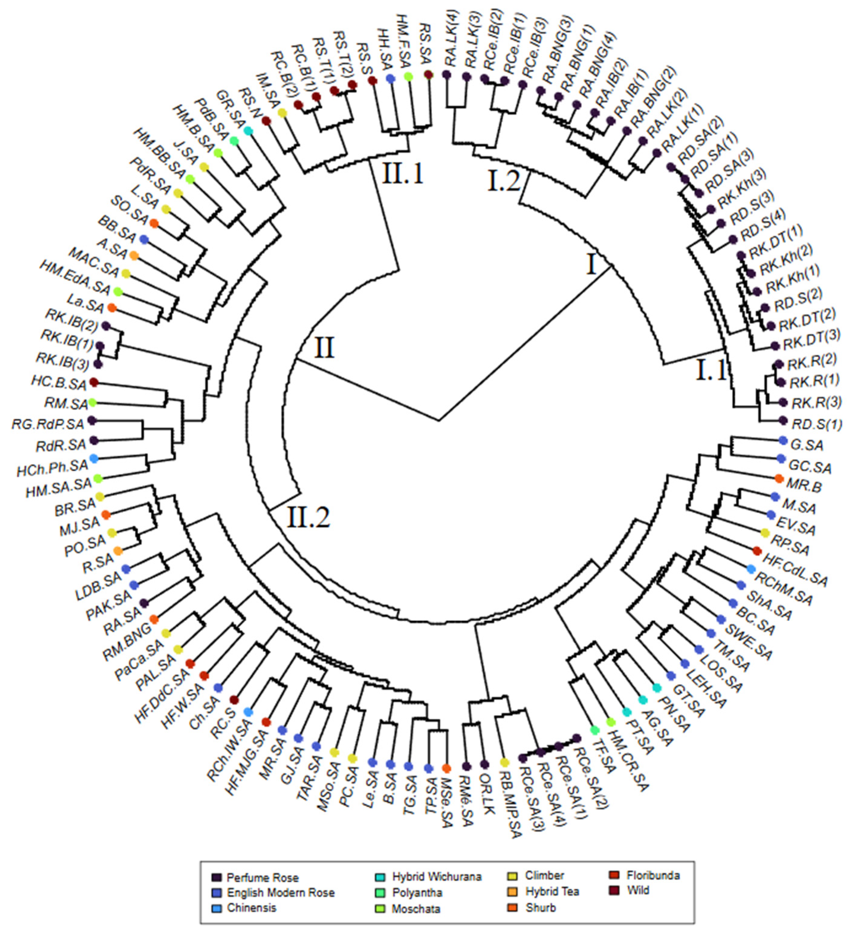 Plants 13 03563 g001