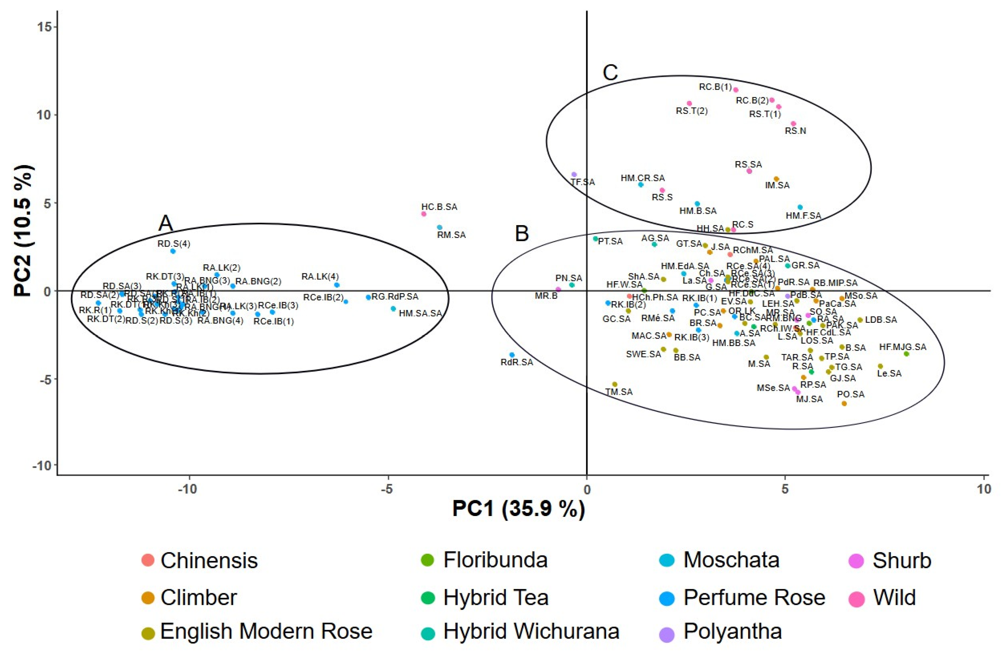 Plants 13 03563 g002