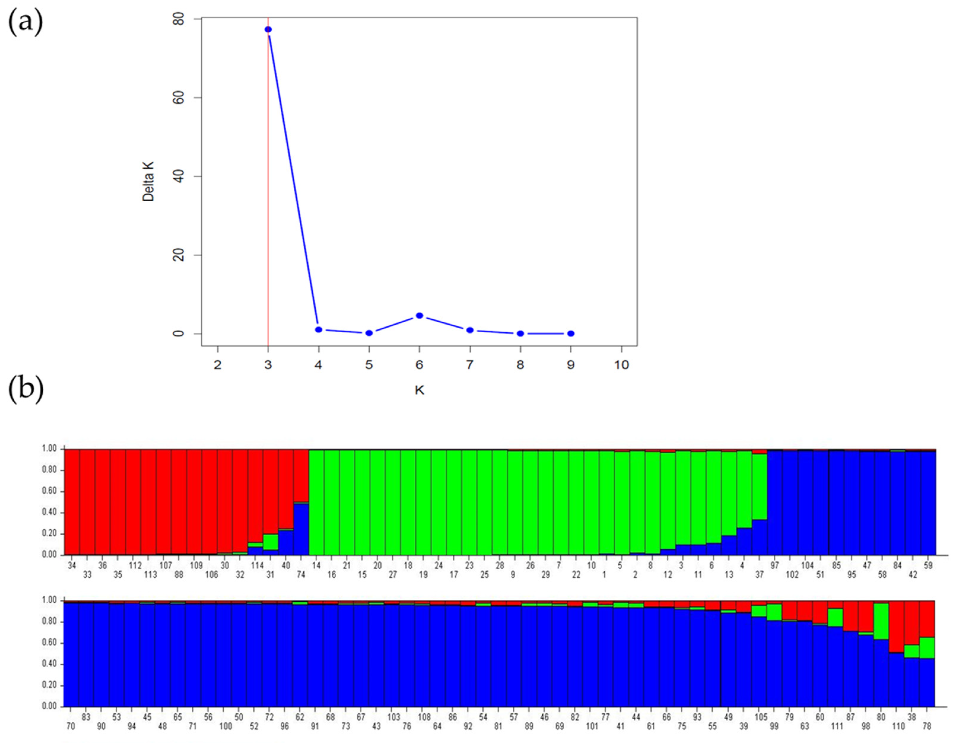 Plants 13 03563 g003
