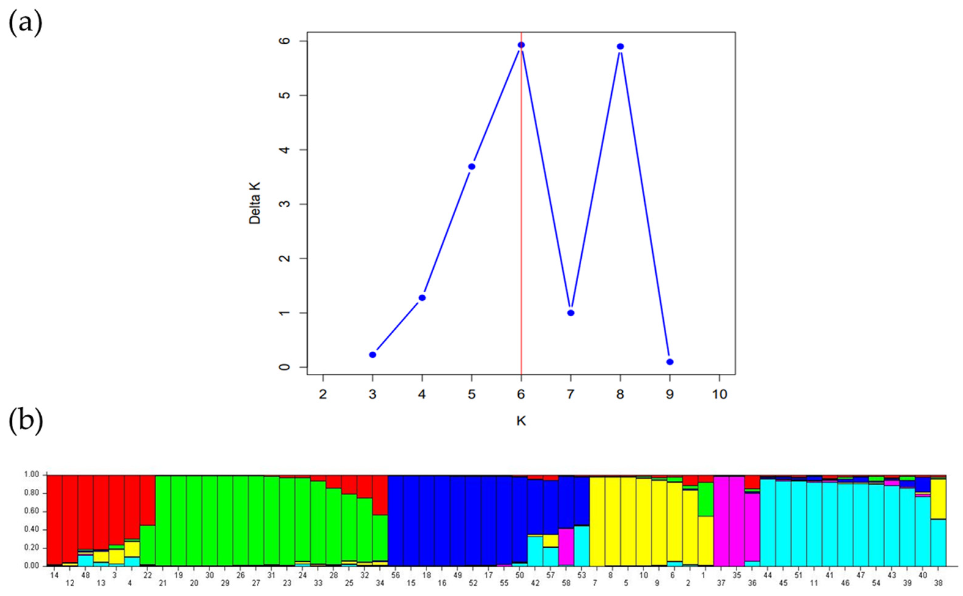 Plants 13 03563 g005