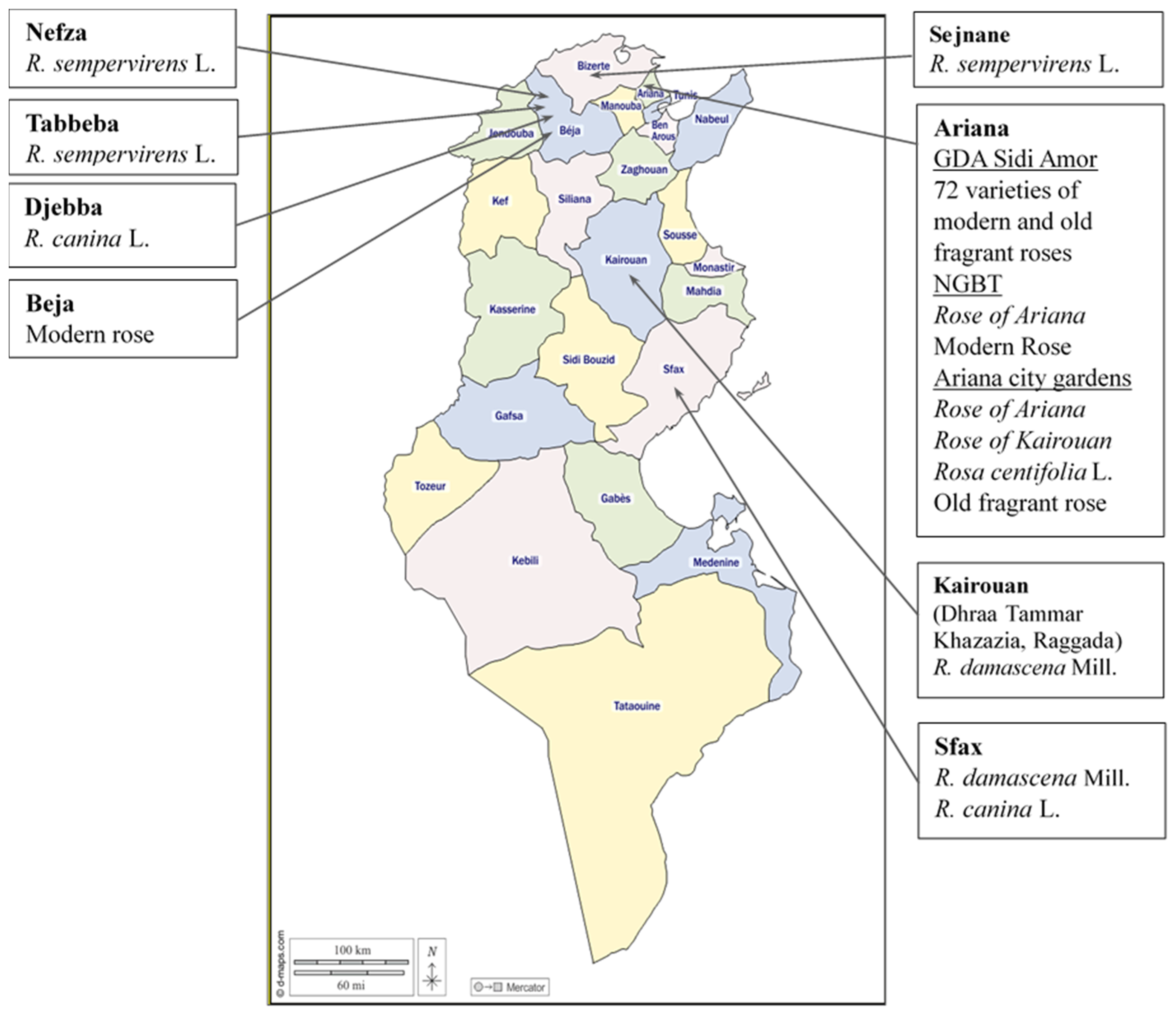 Plants 13 03563 g006