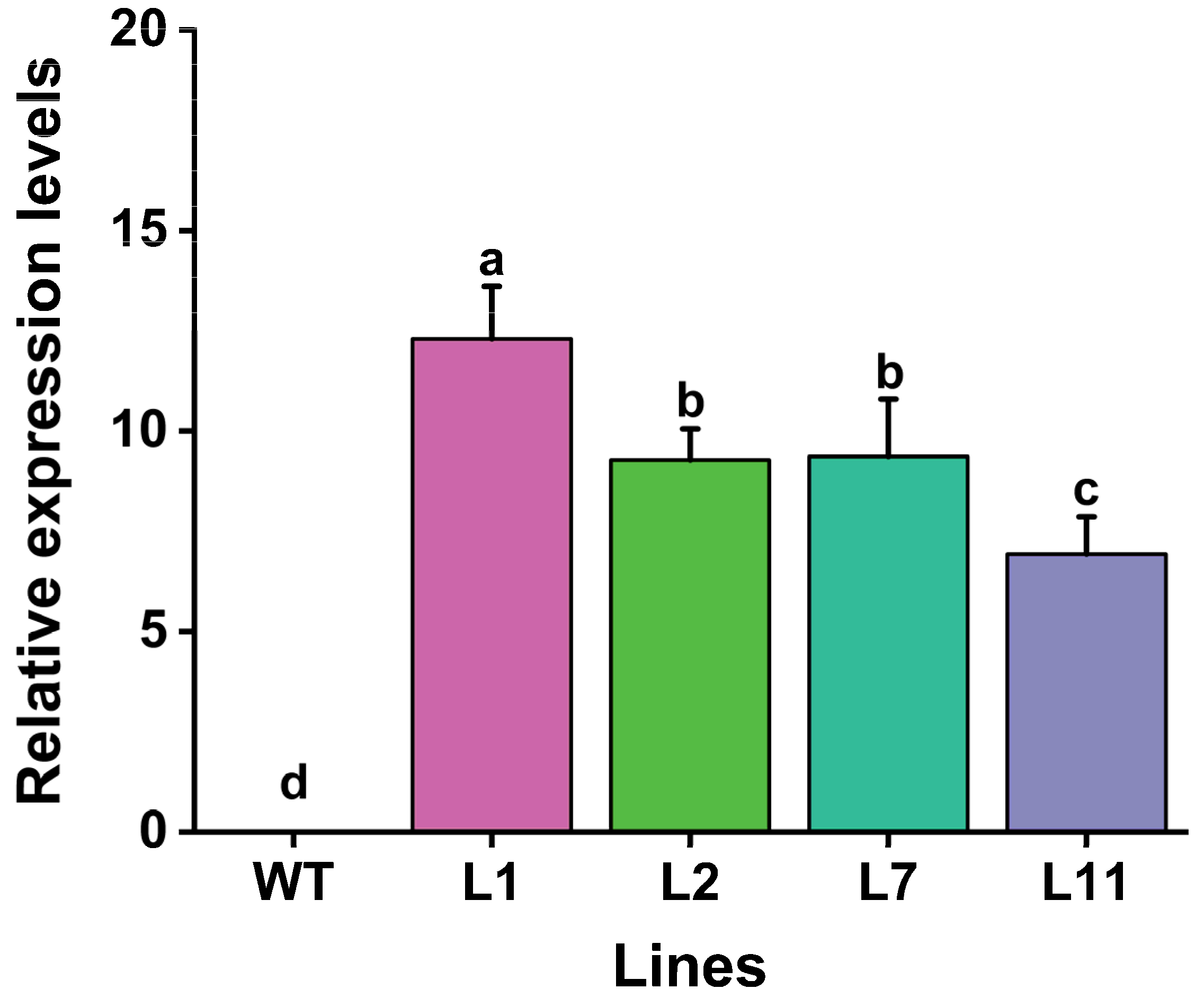 Plants 13 03568 g004