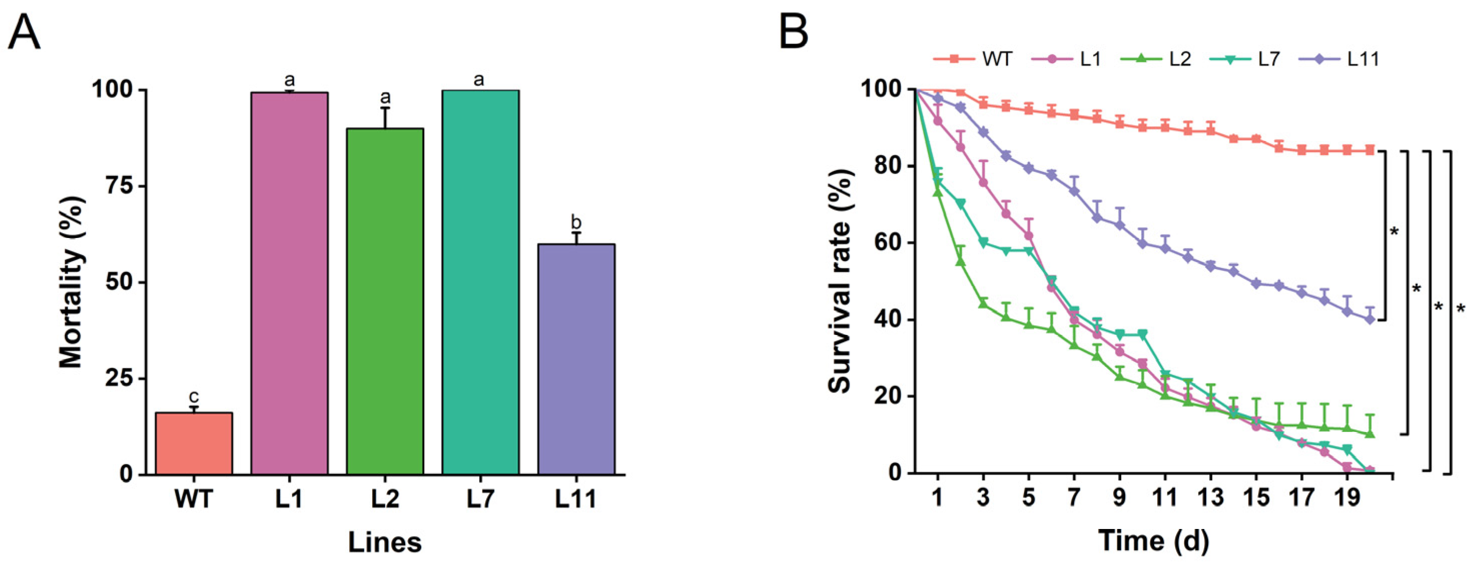 Plants 13 03568 g006