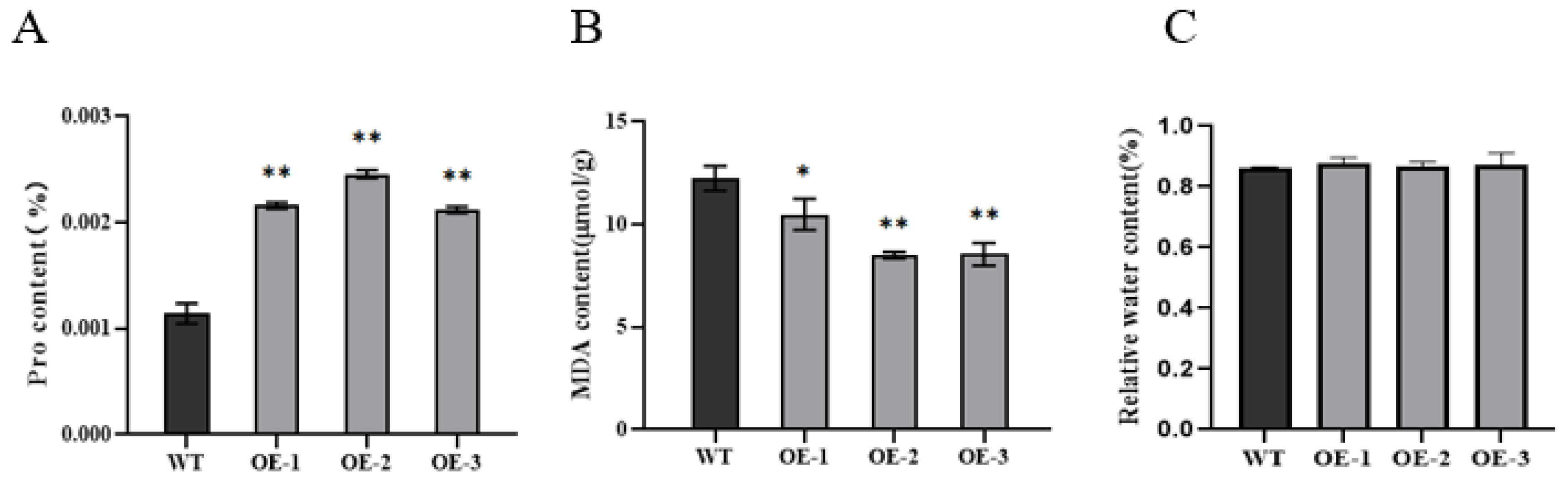 Plants 13 03569 g004