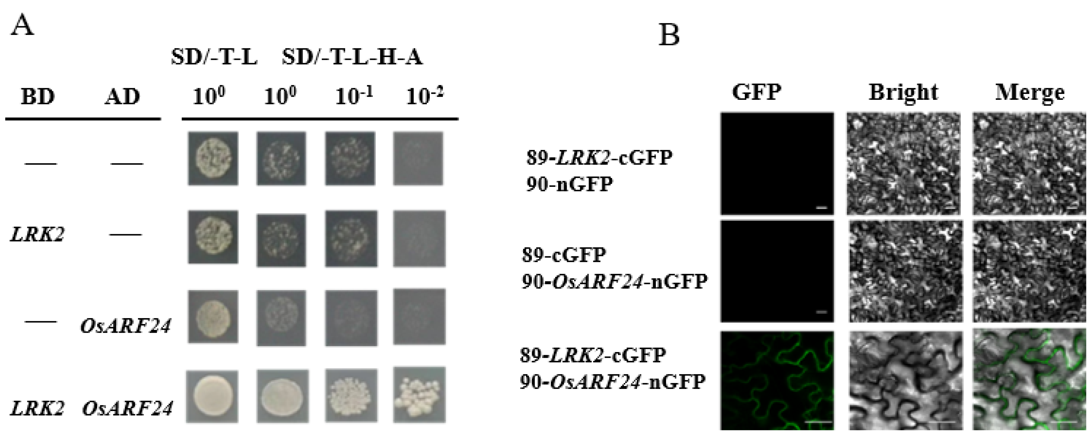 Plants 13 03569 g005