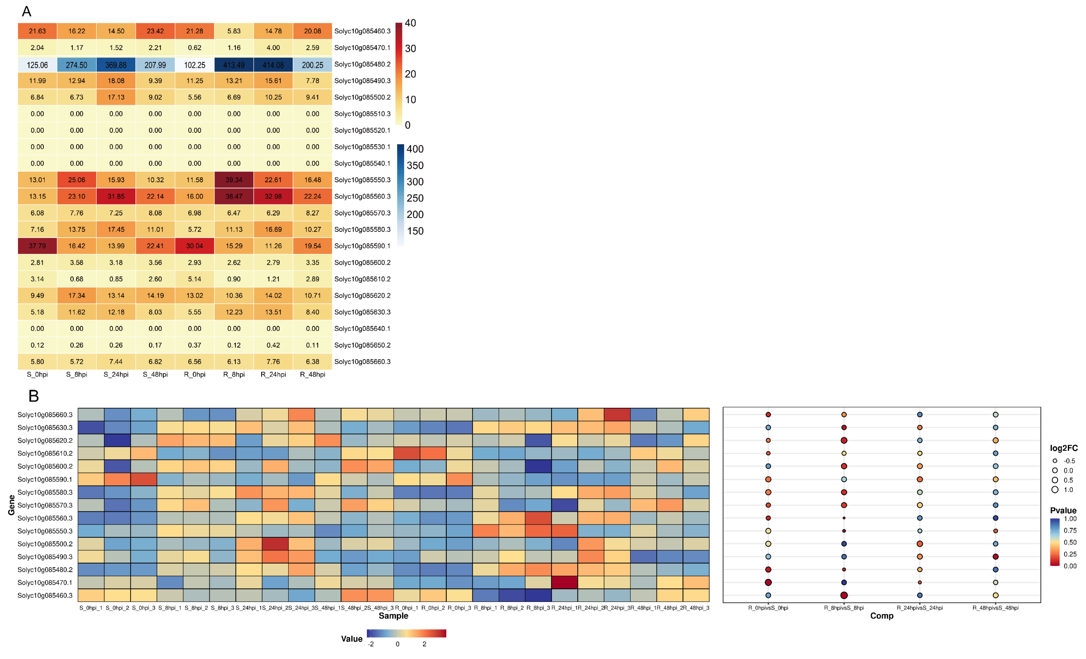 Plants 13 03572 g001