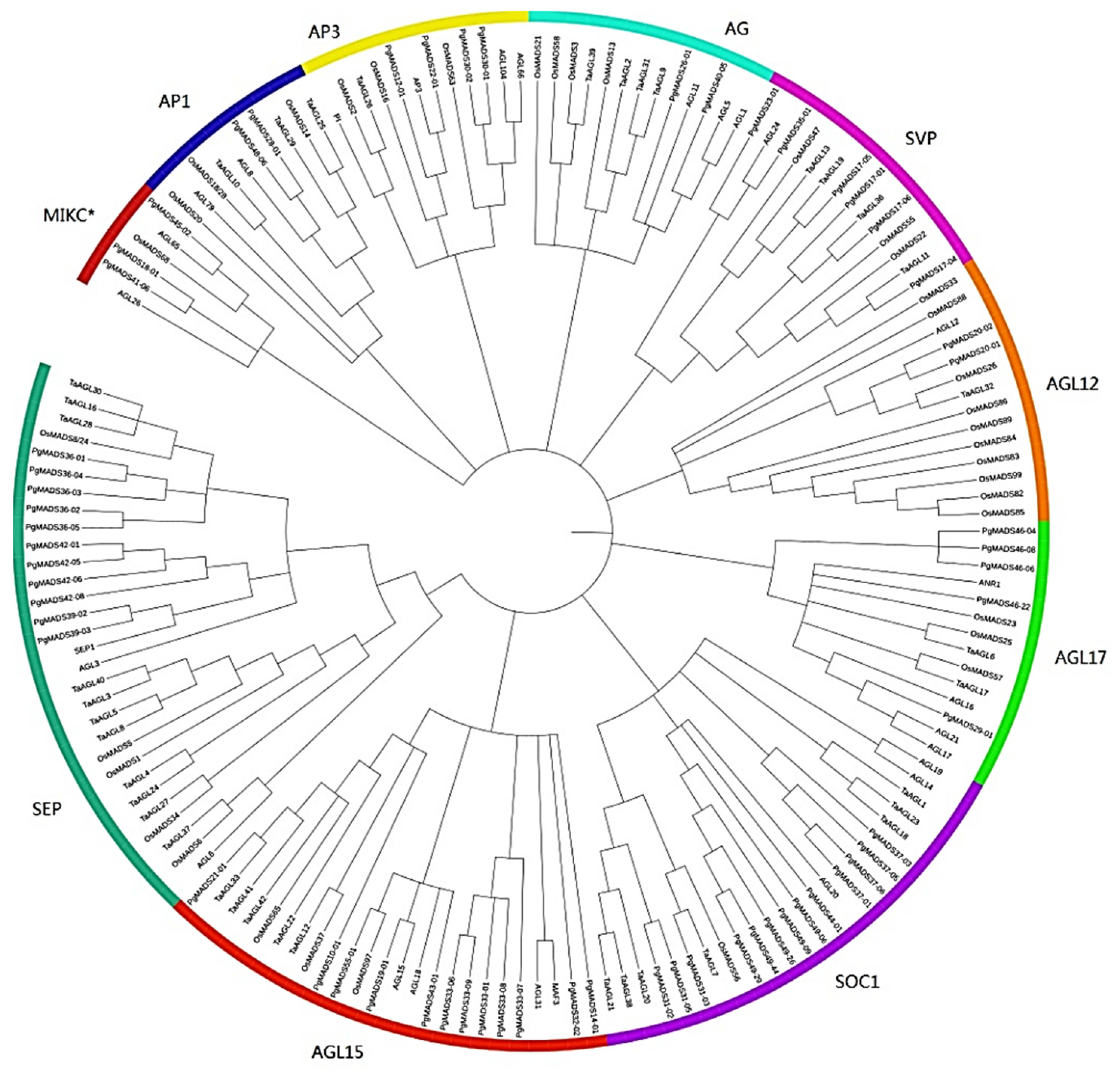Plants 13 03574 g002