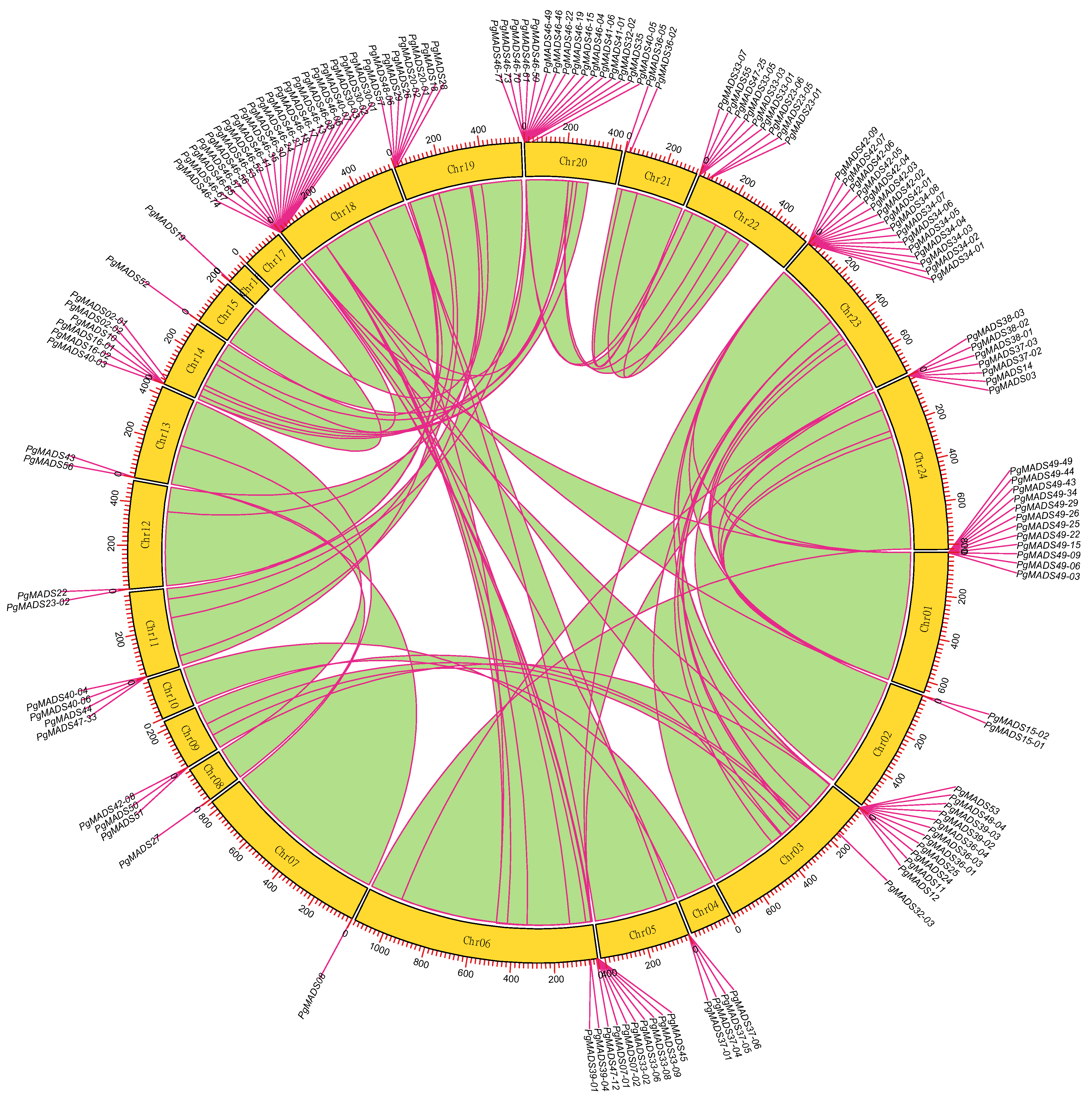 Plants 13 03574 g003
